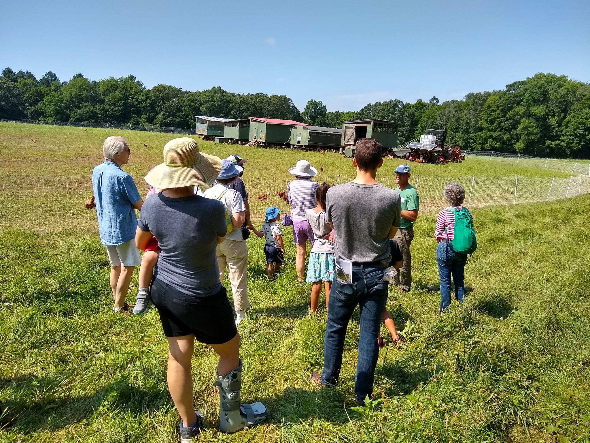 Visiting our pasture-raised laying hens