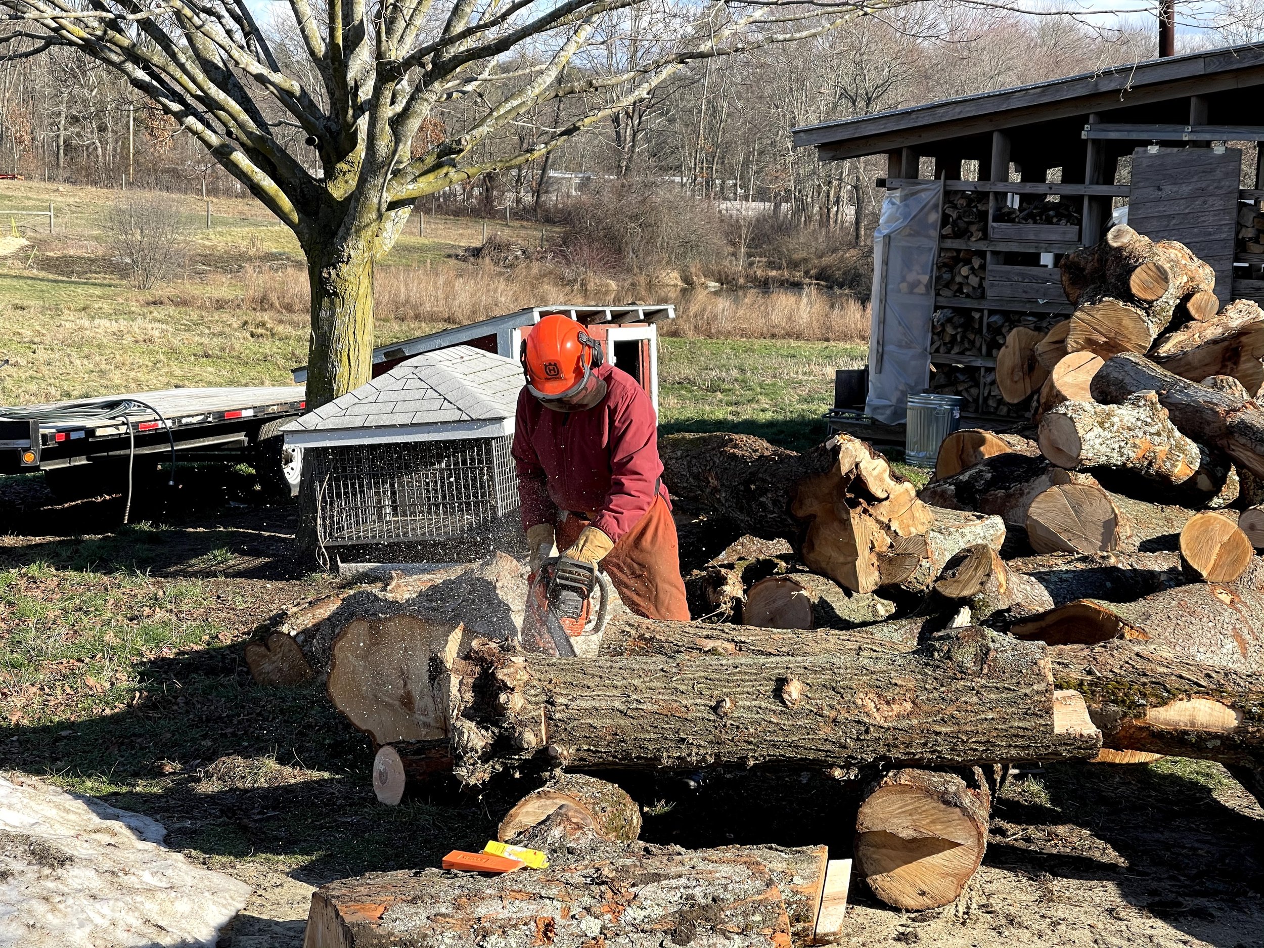 wood chopping