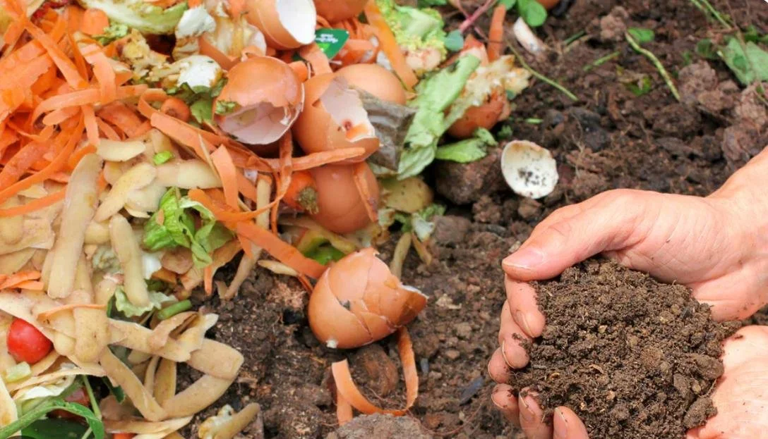 Codman Composting Picture.jpeg