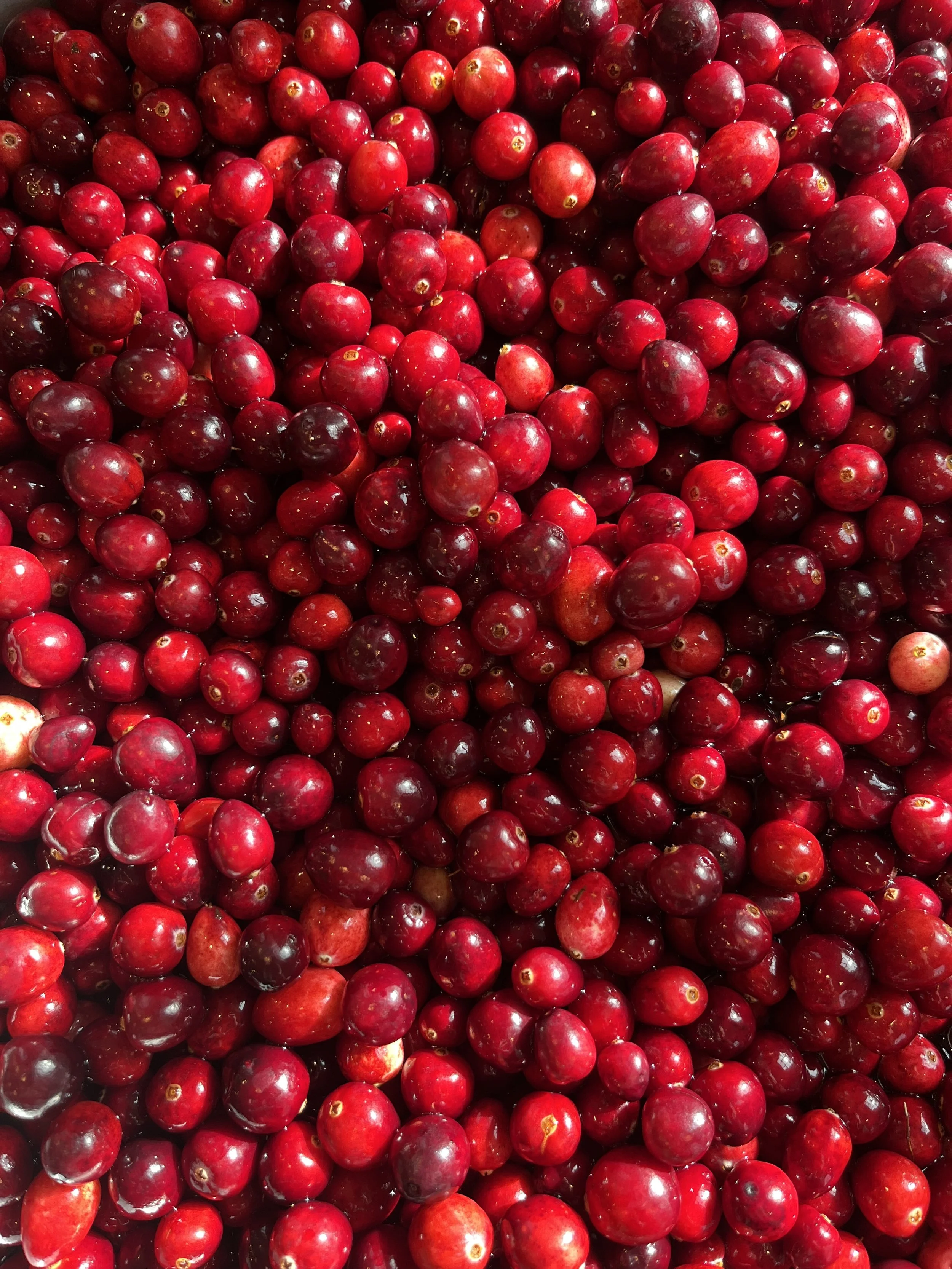 Cranberries.jpg