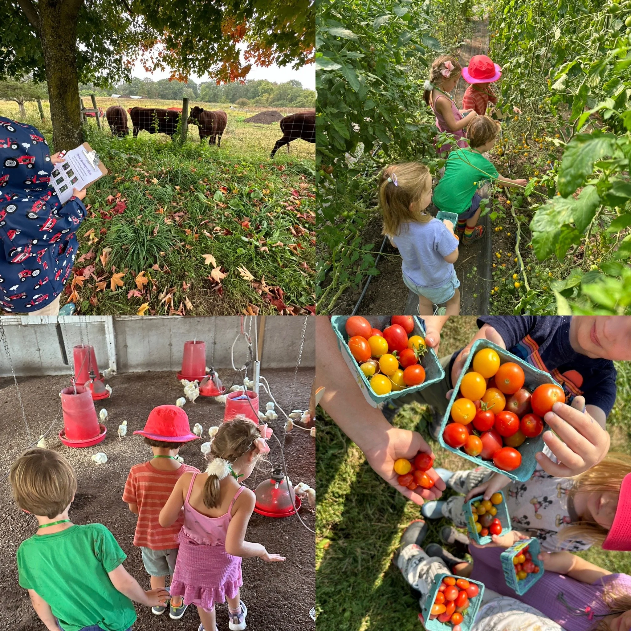 Little Farmer's Helpers in the Spring - Thursday Mornings