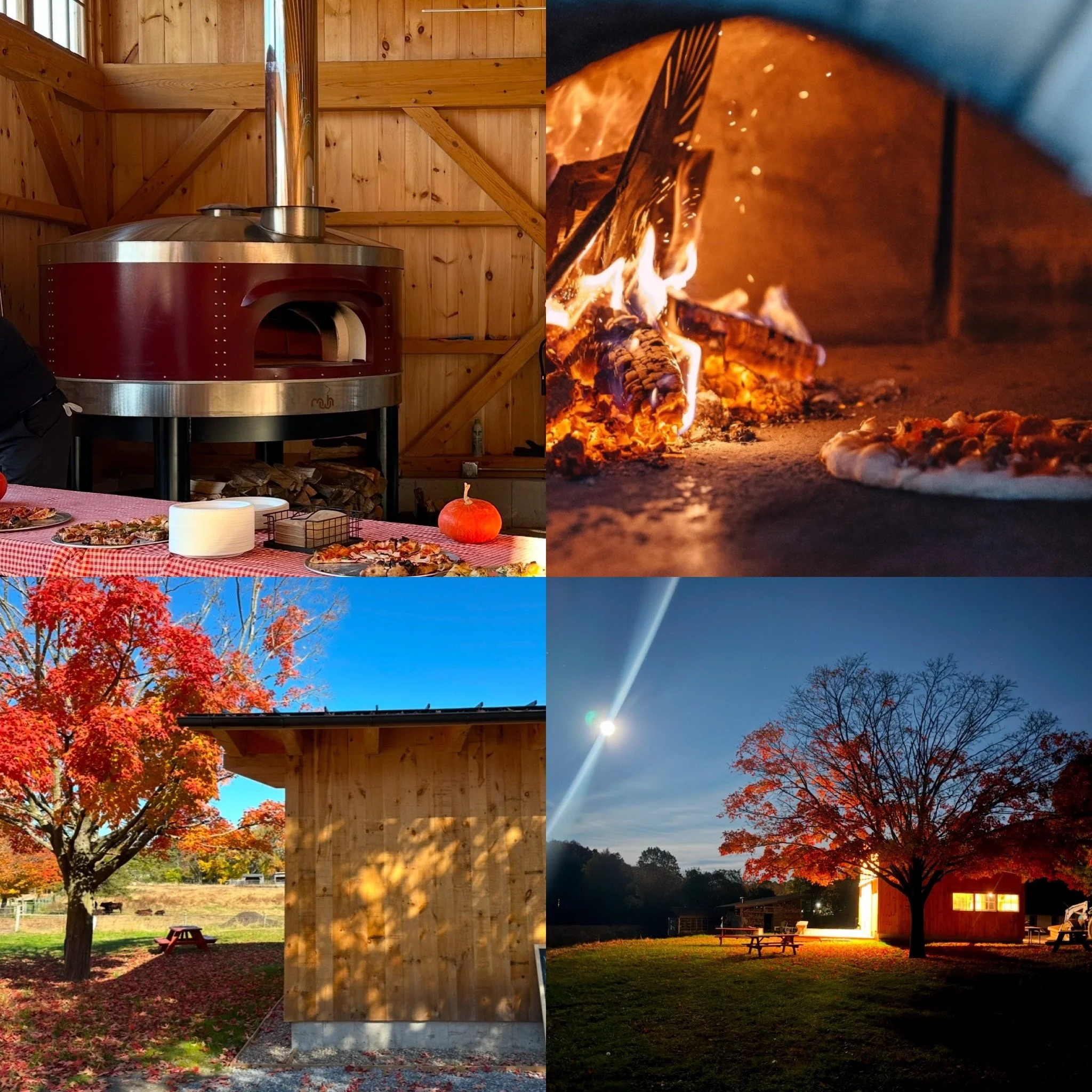 Maple March: Pizza in the Pavilion