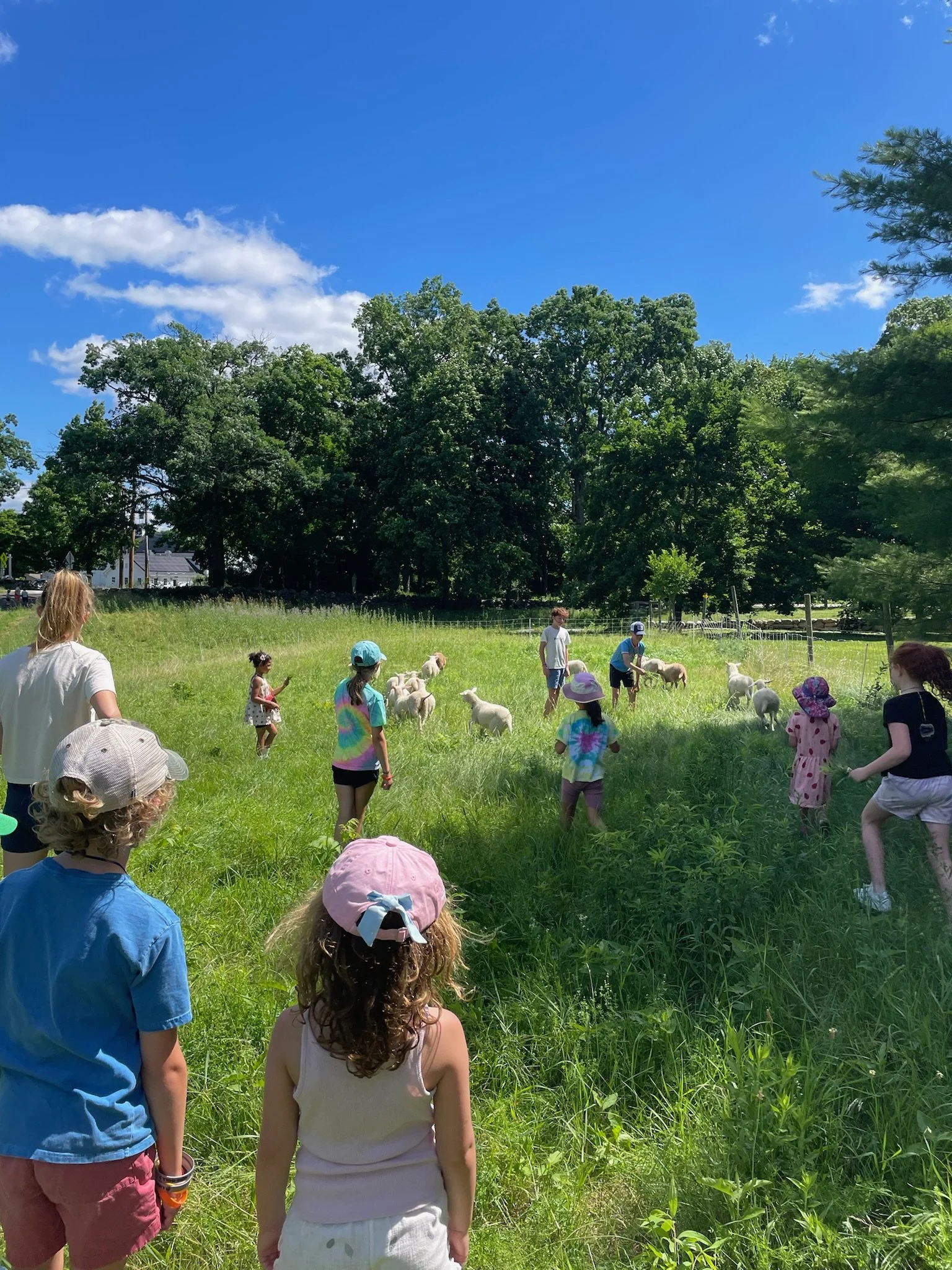 Summer Barn Buddies for Kids