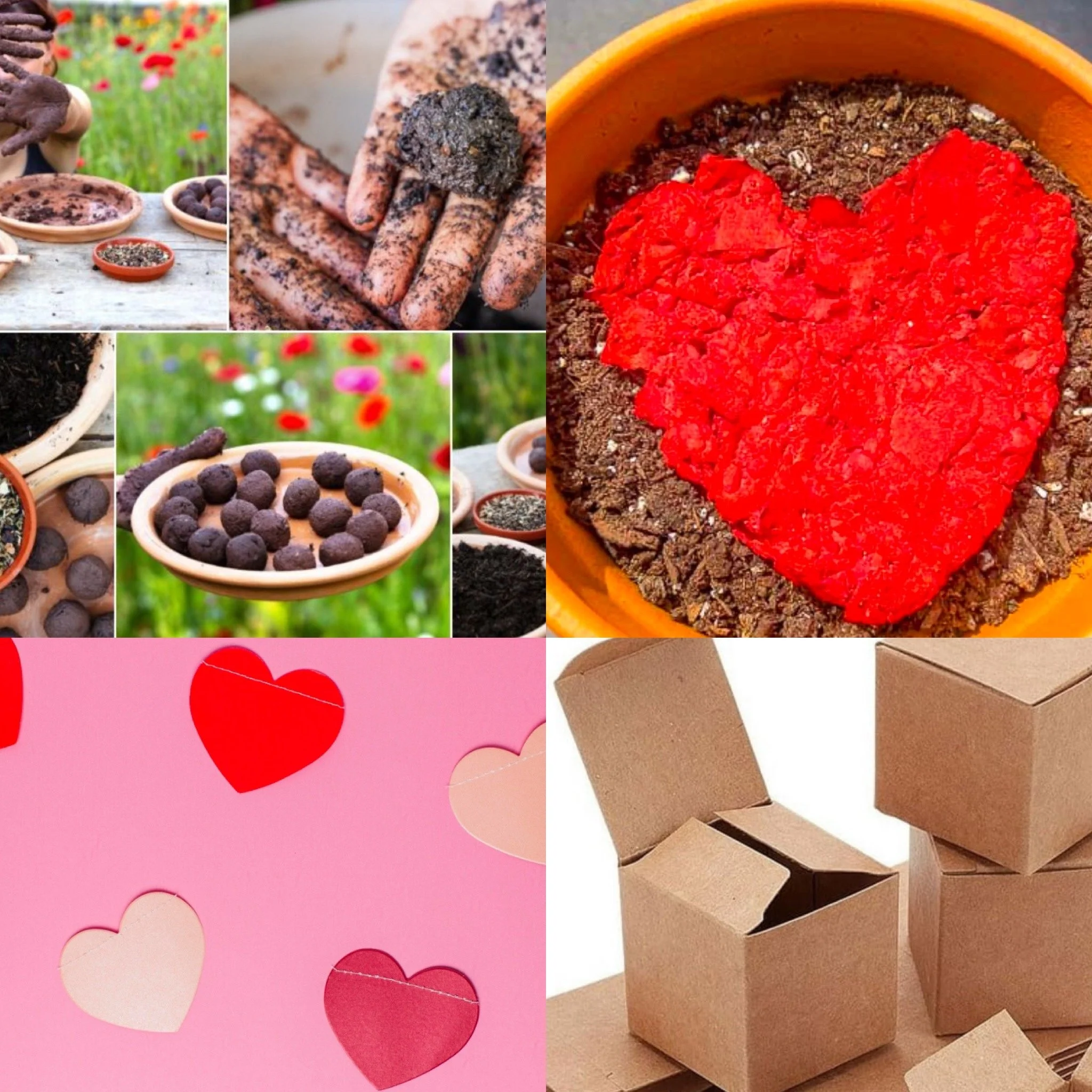 Seed Ball BonBons for Valentine's Day for Kids!