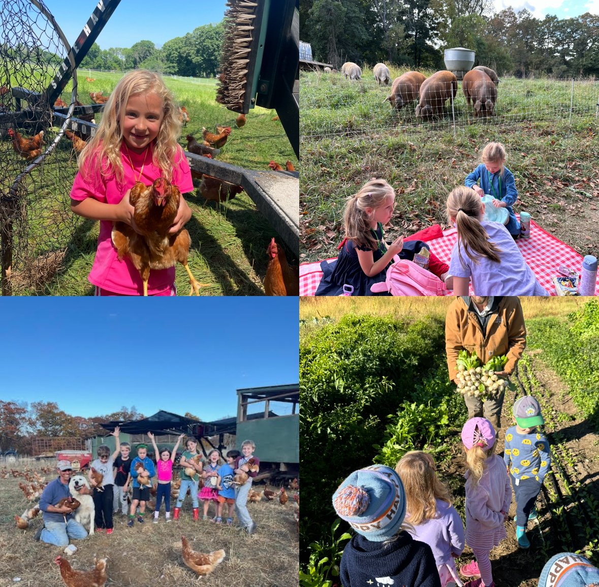 Summer Barn Buddies for Kids