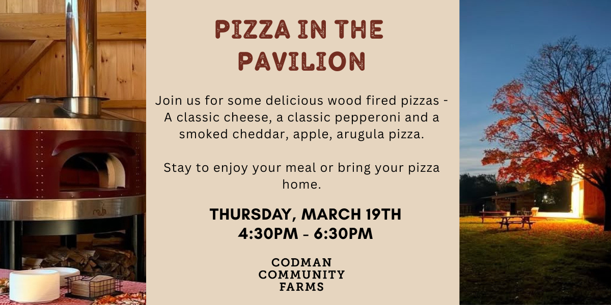 Pizza in the Pavilion, March 19th
