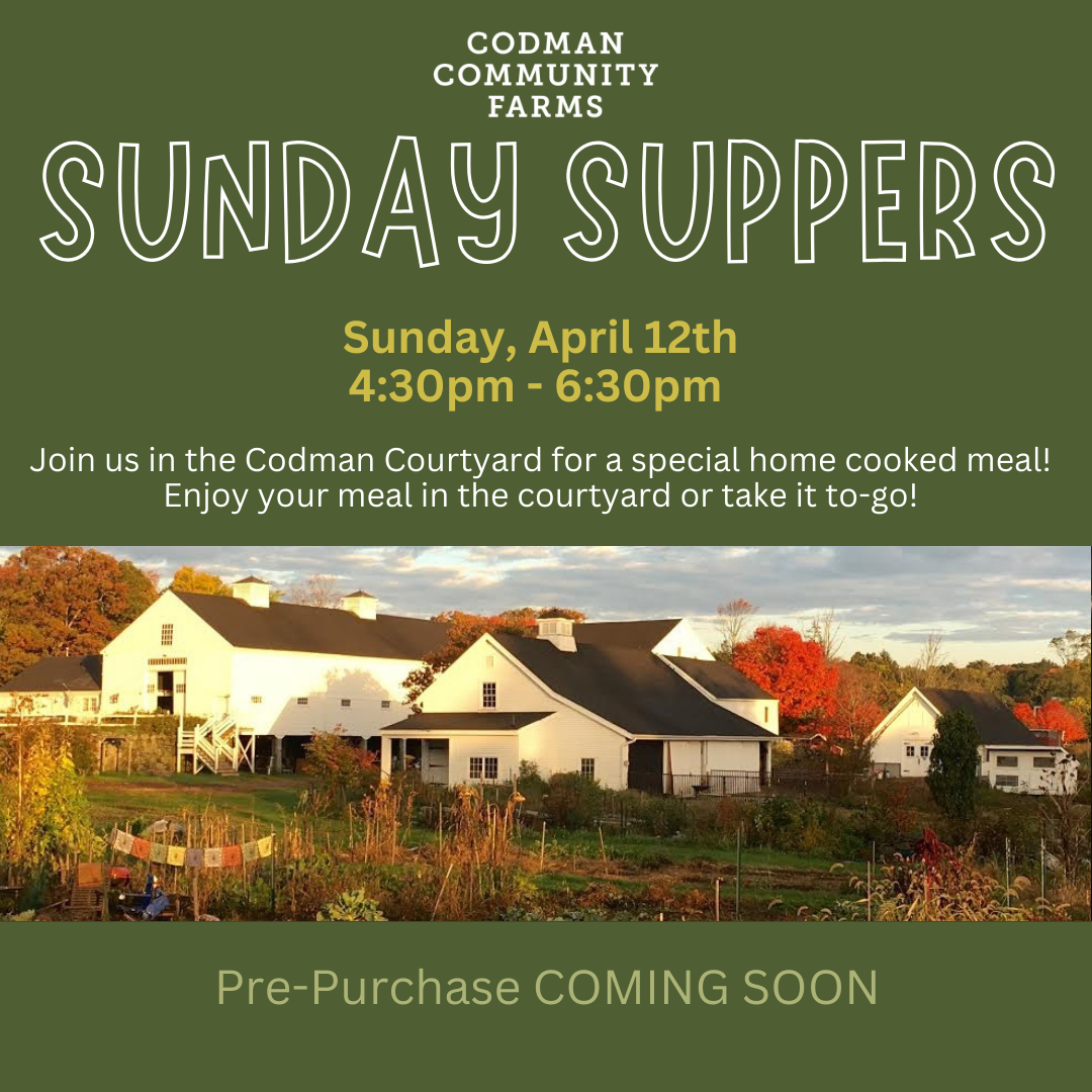 Sunday Supper, April 12th