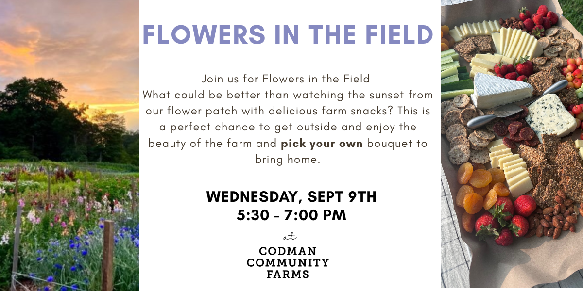 Flowers in the Field, September 9th 