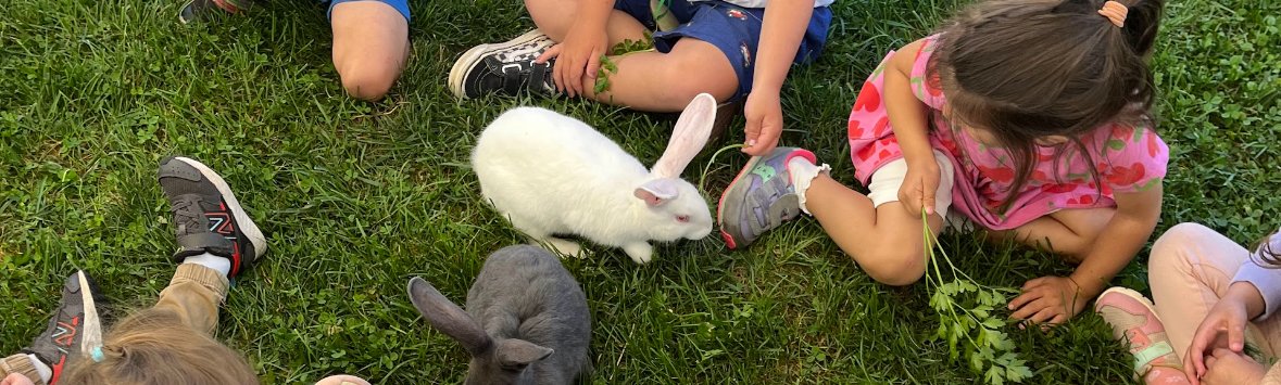 July 20-24: Summer Barn Buddies