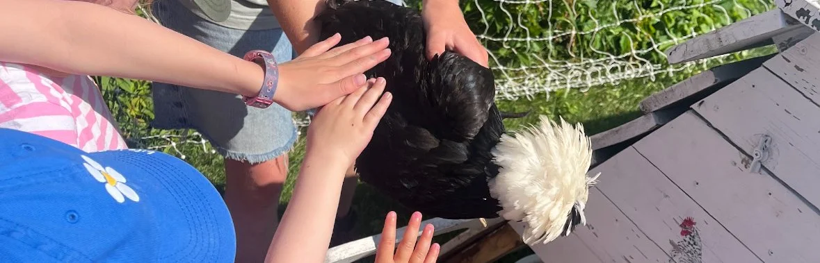 July 13-17: Summer Barn Buddies