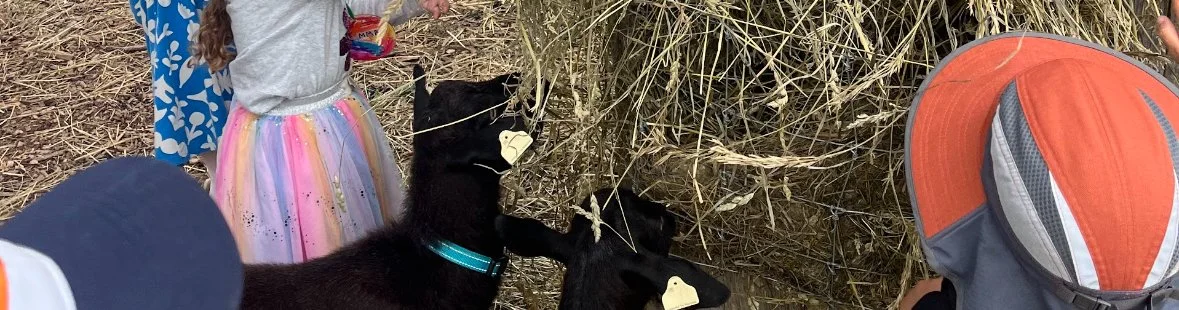 August 31-September 4: Summer Barn Buddies