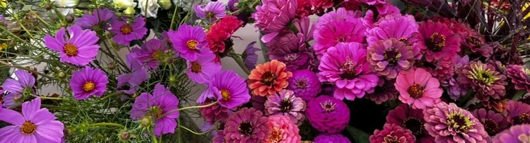 Flower Image.webp