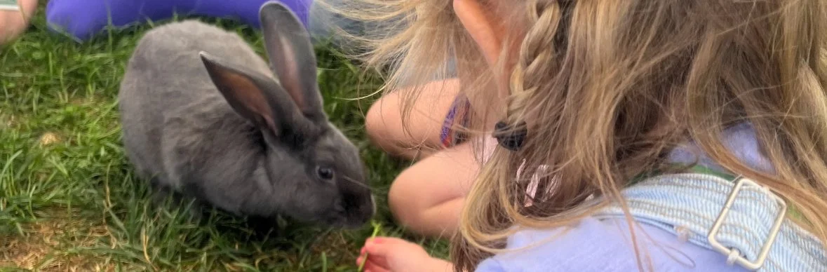 June 22-26: Summer Barn Buddies