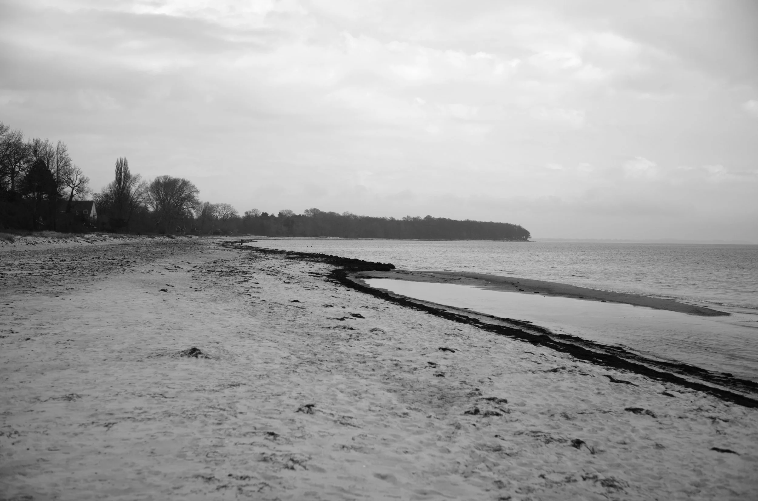 2L1002708_raw_c_bc.jpg