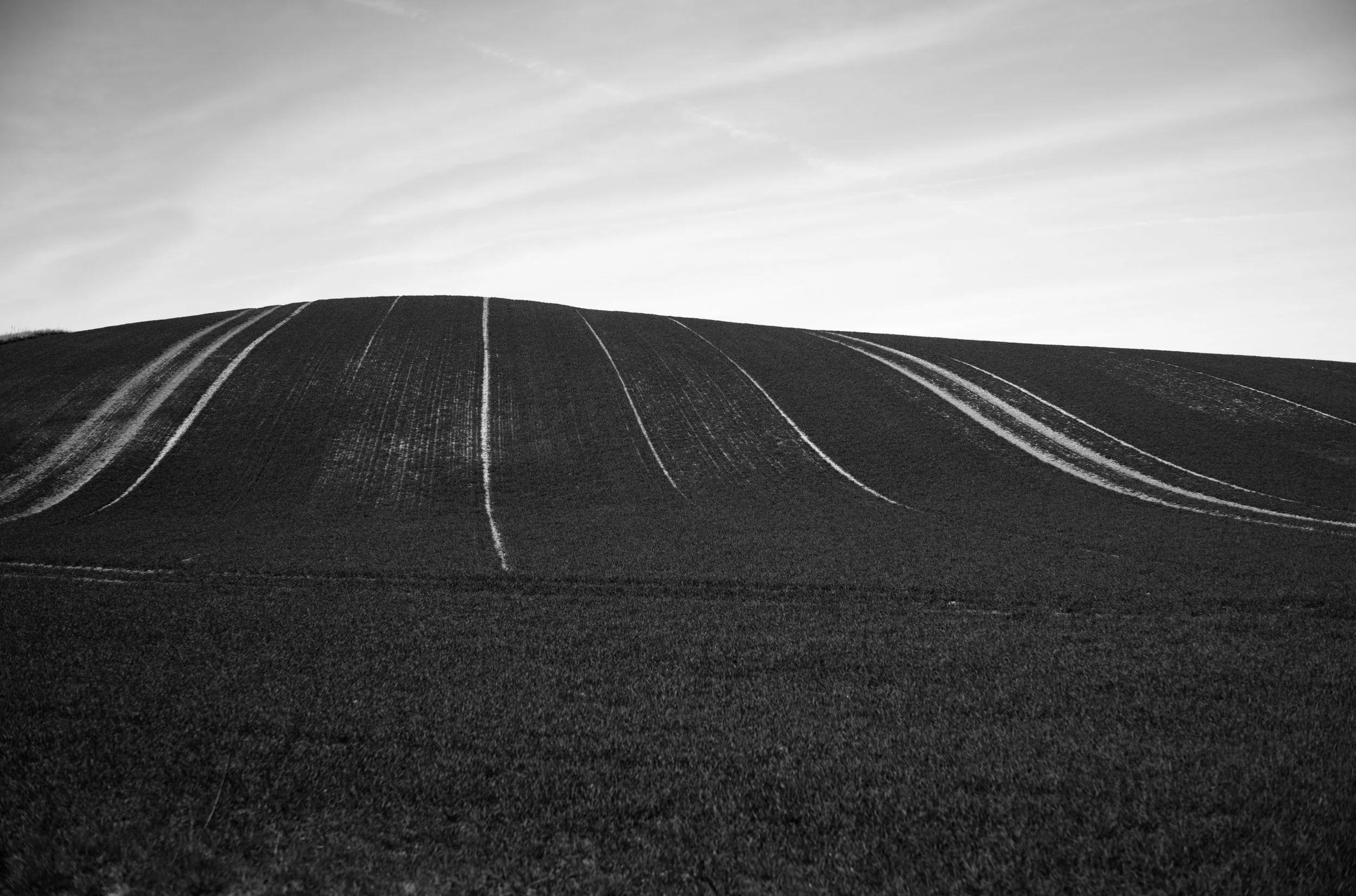 2L1002795_raw_c_bc.jpg