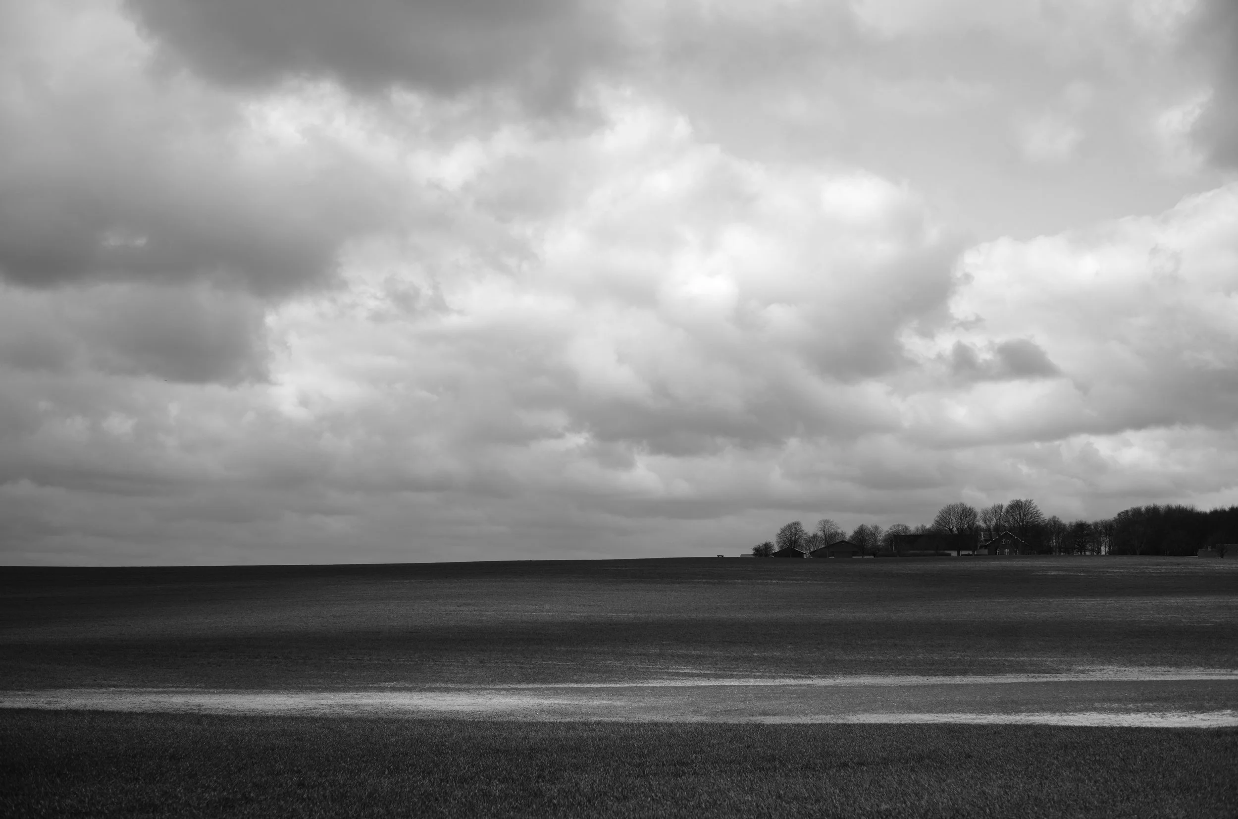 2L1002837_raw_c_bc.jpg