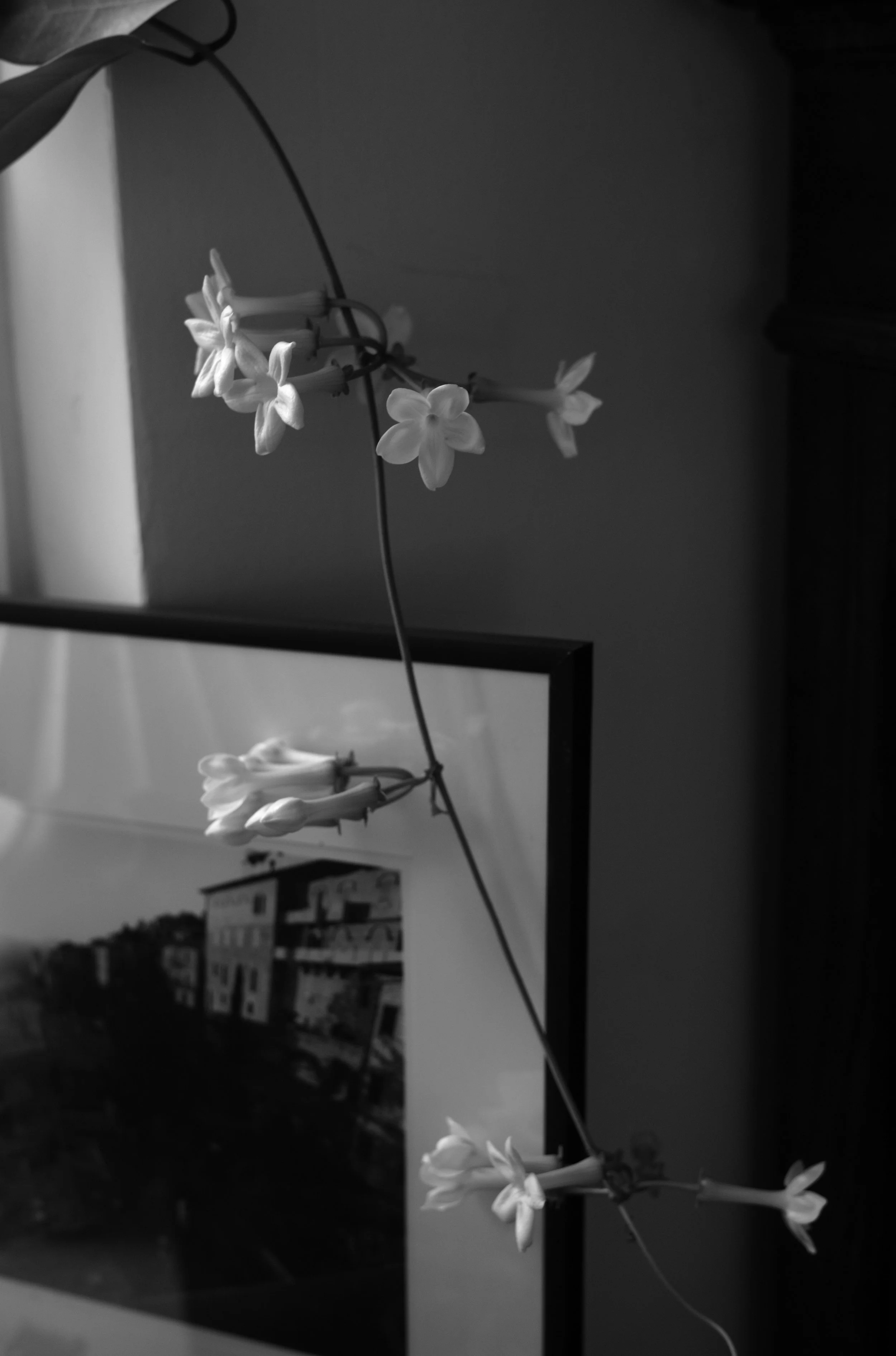 2L1003214_raw_c_bc.jpg