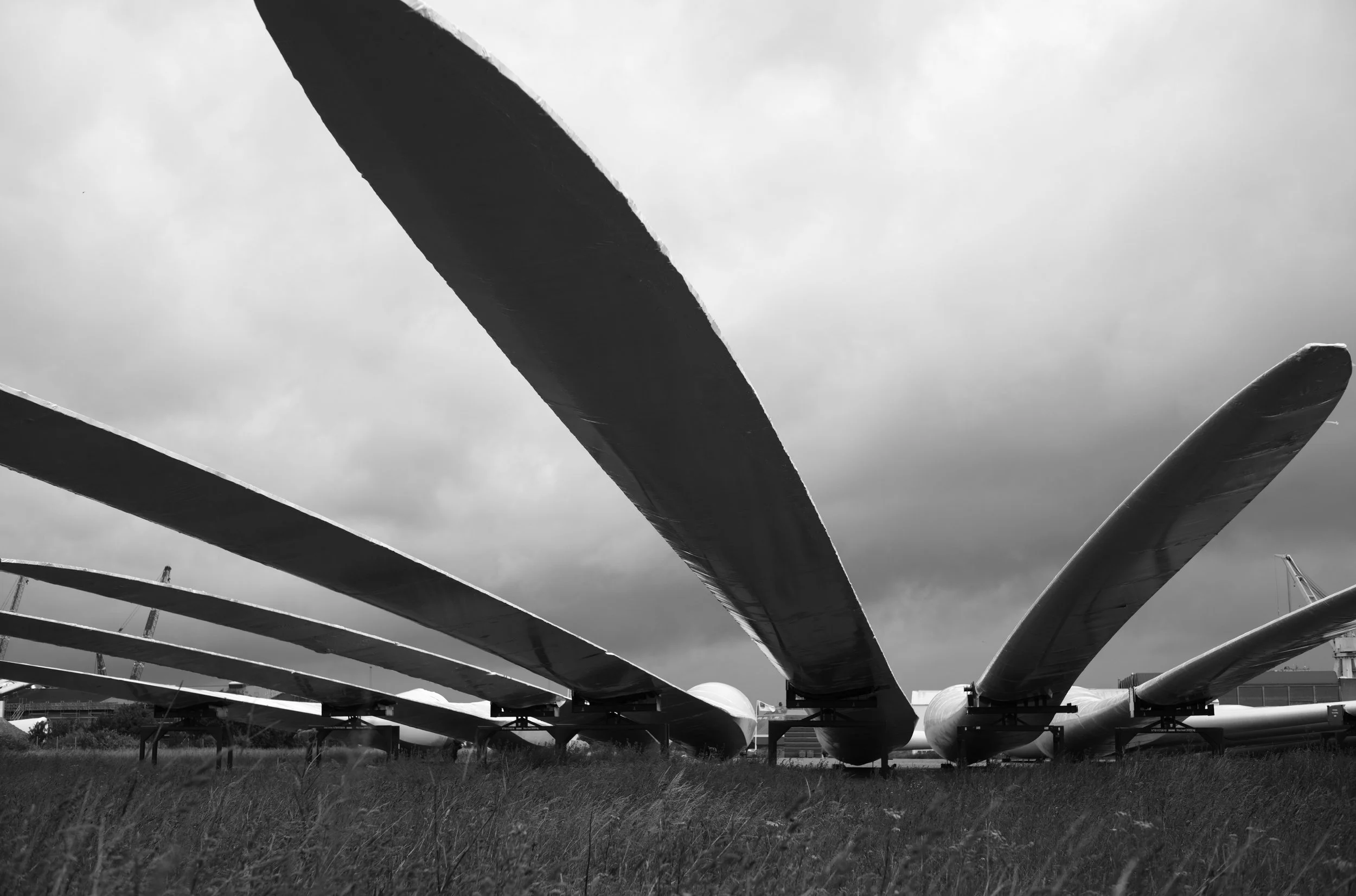 2L1003563_raw_c_bc.jpg