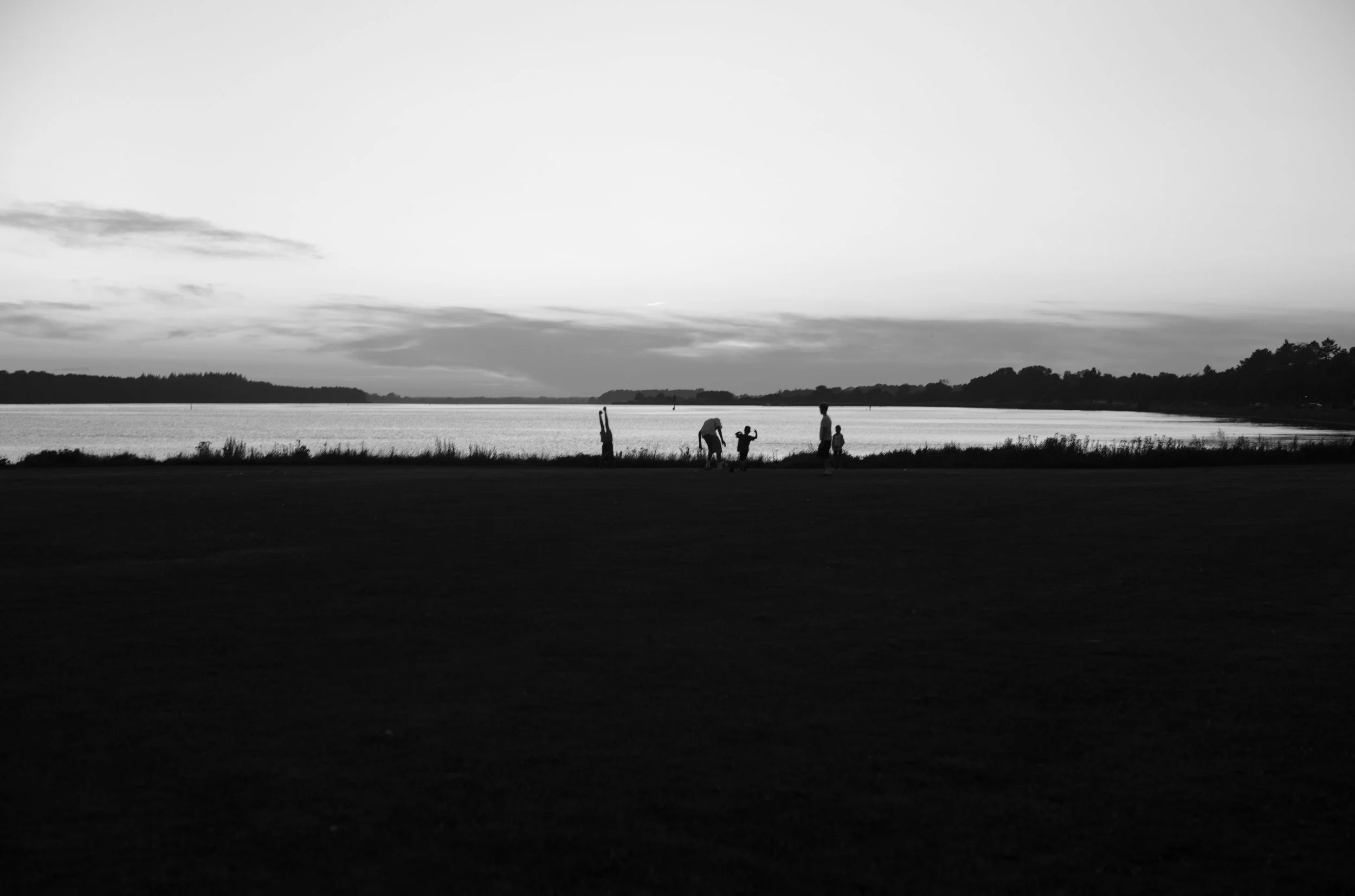 2L1003793_raw_c_bc.jpg