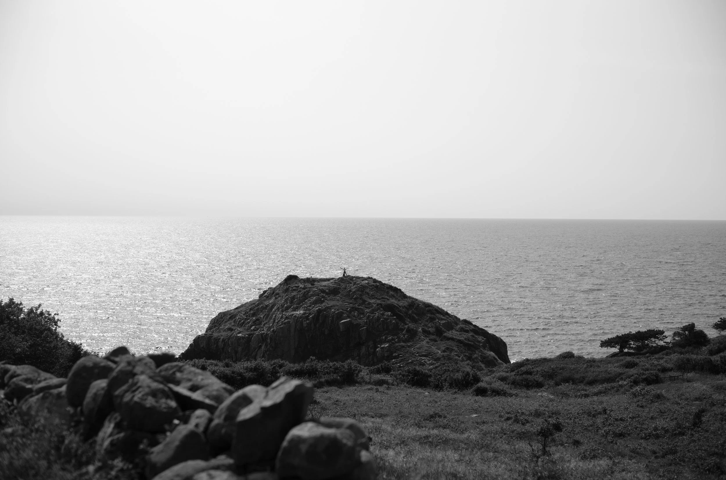 2L1003483_raw_c_bc_.jpg