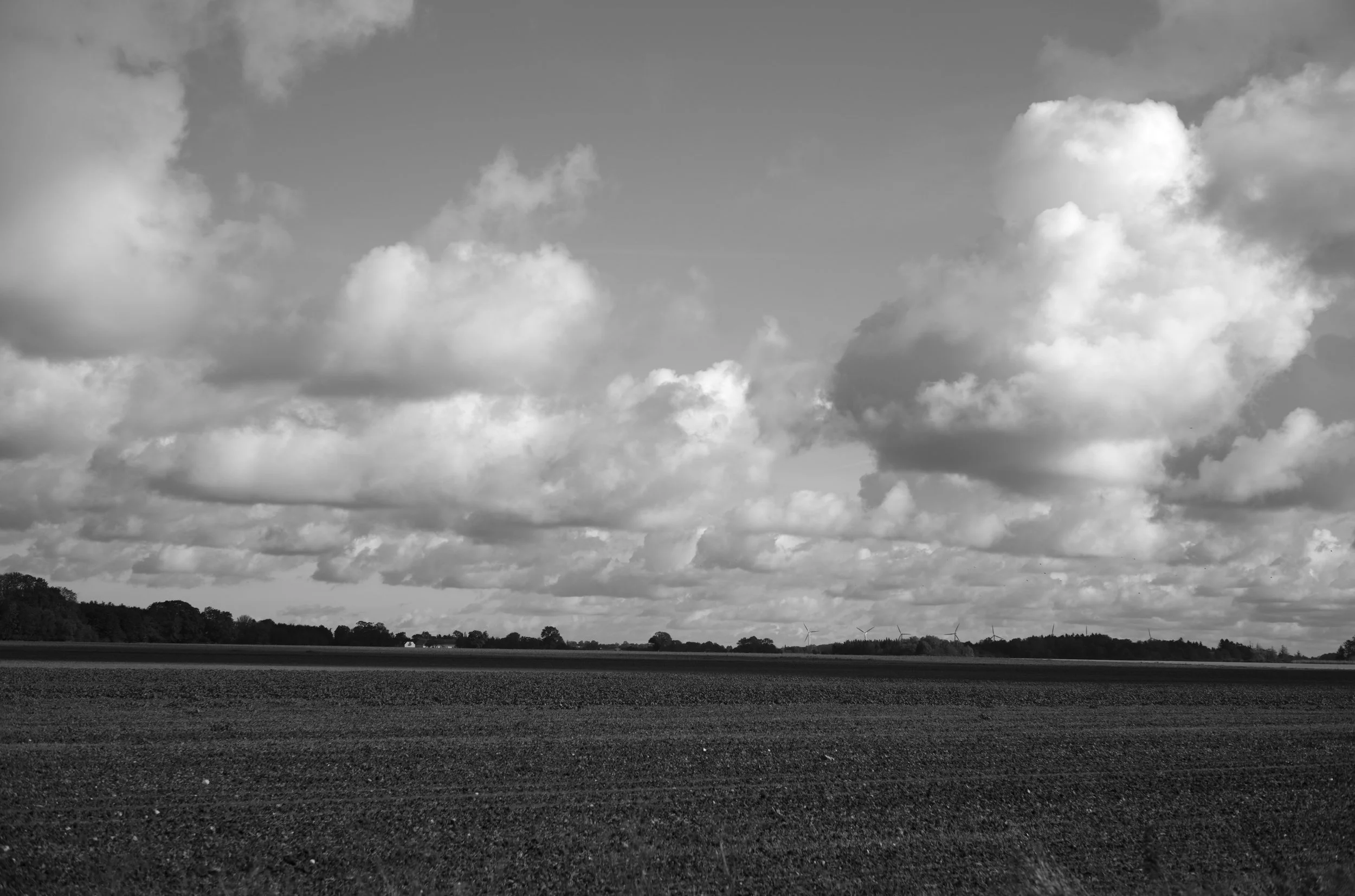 2L1004355_cp_l.jpg