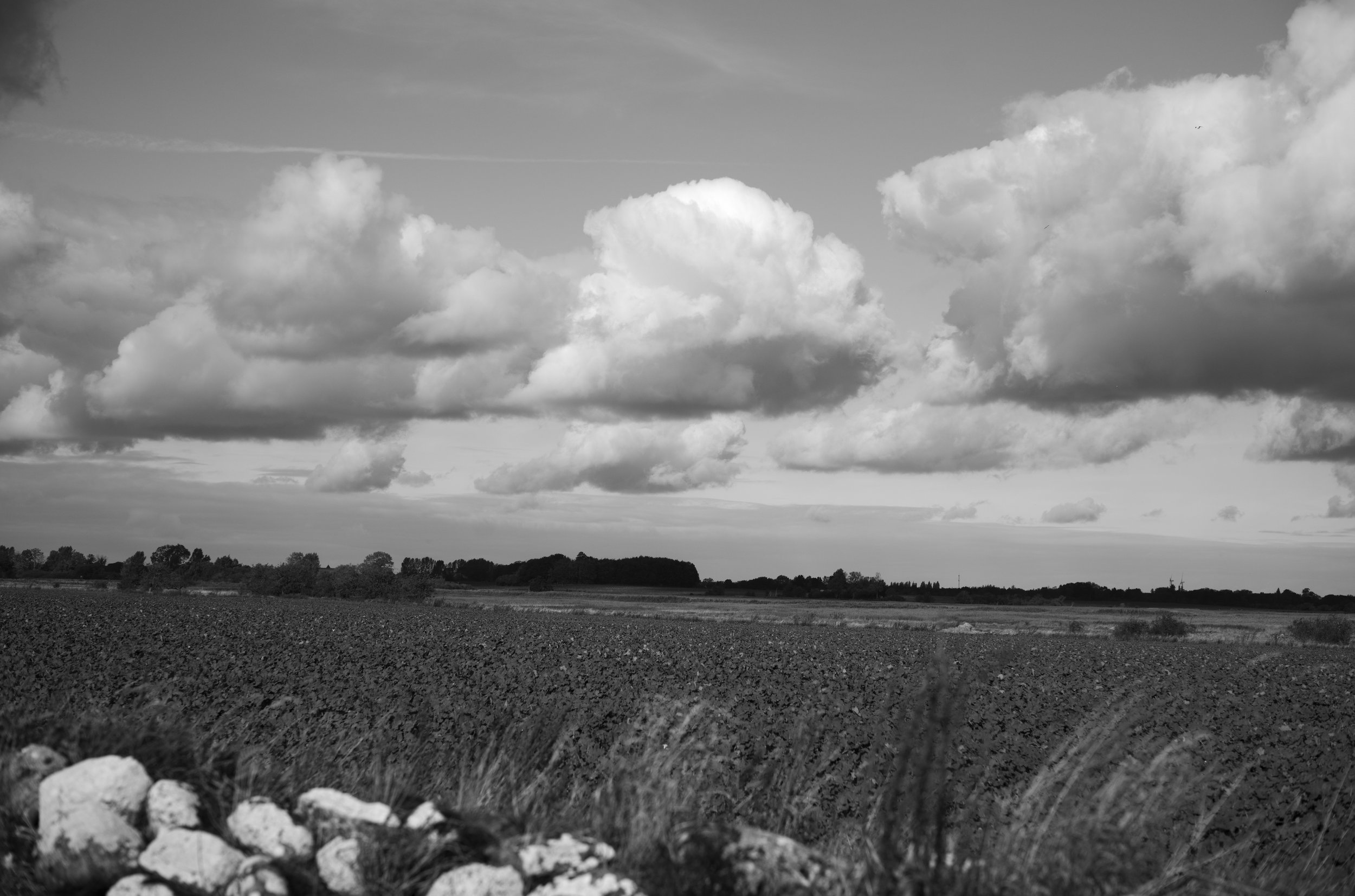 2L1004363_cp_l.jpg