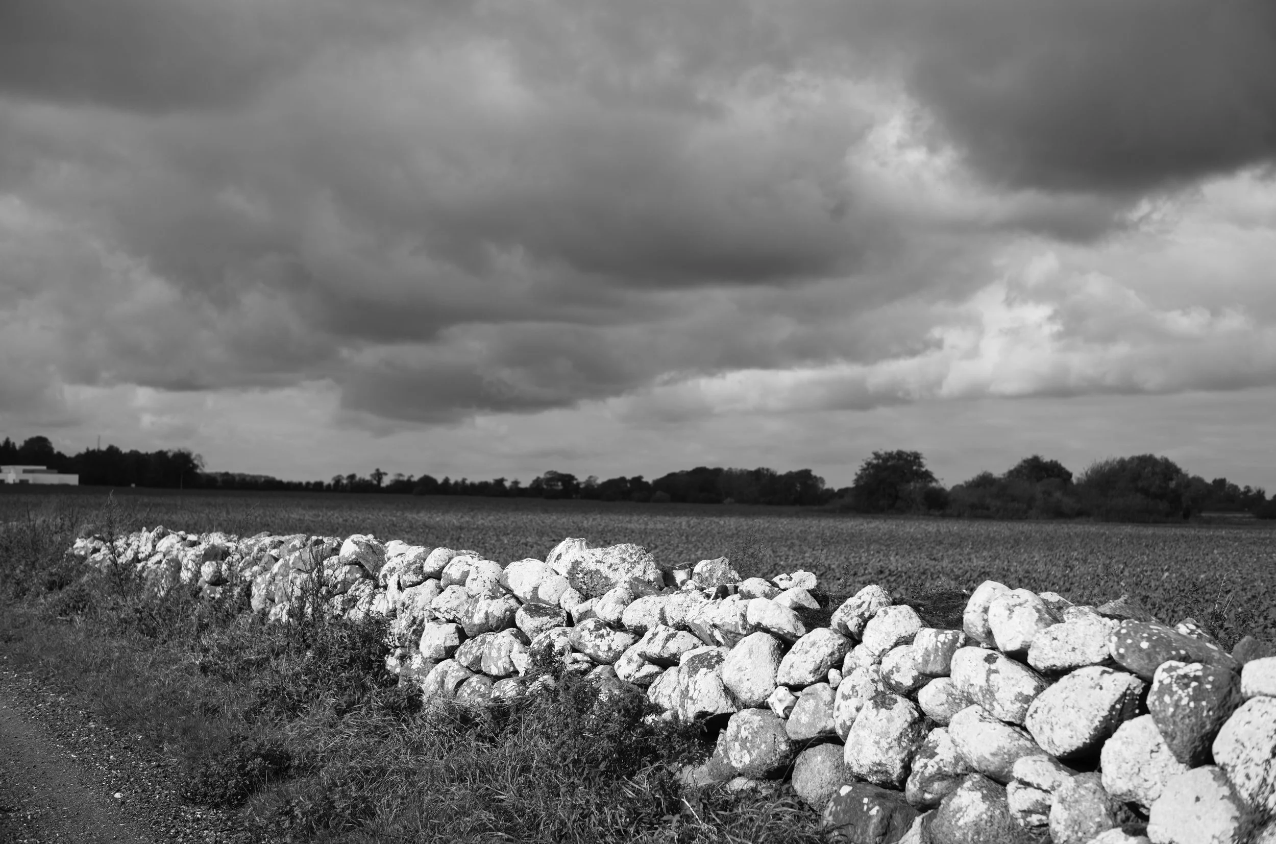 2L1004368_cp_l.jpg