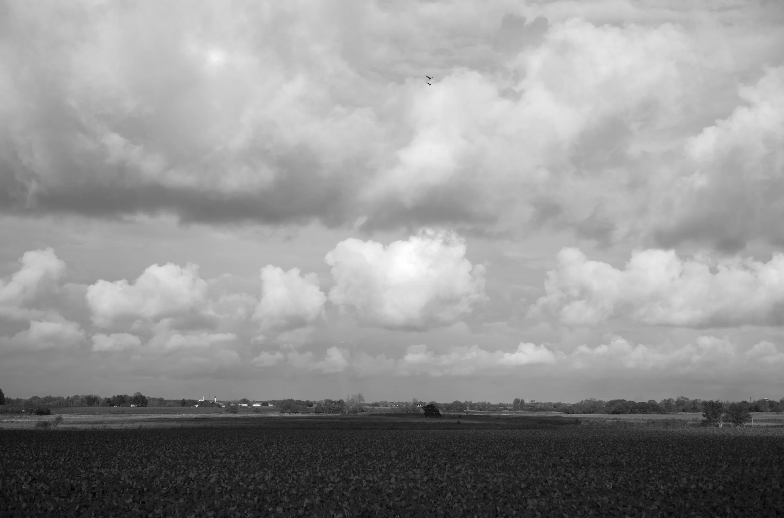 2L1004543_cp_l.jpg