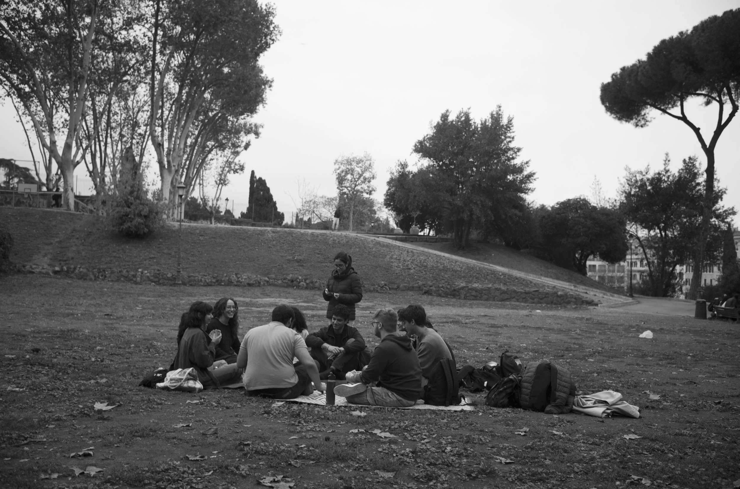 2L1006898_cp_l.jpg