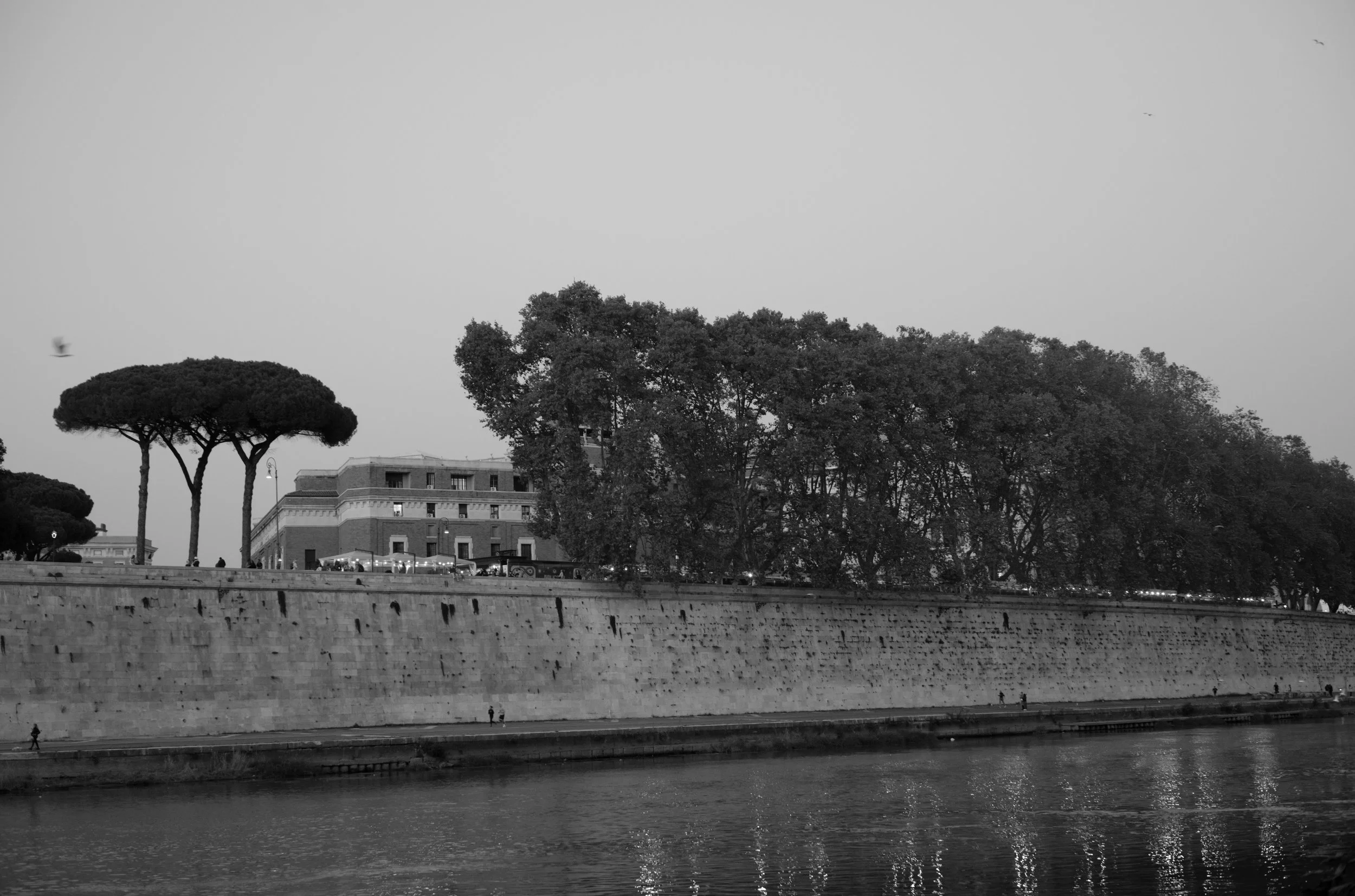 2L1004710_cp_l.jpg