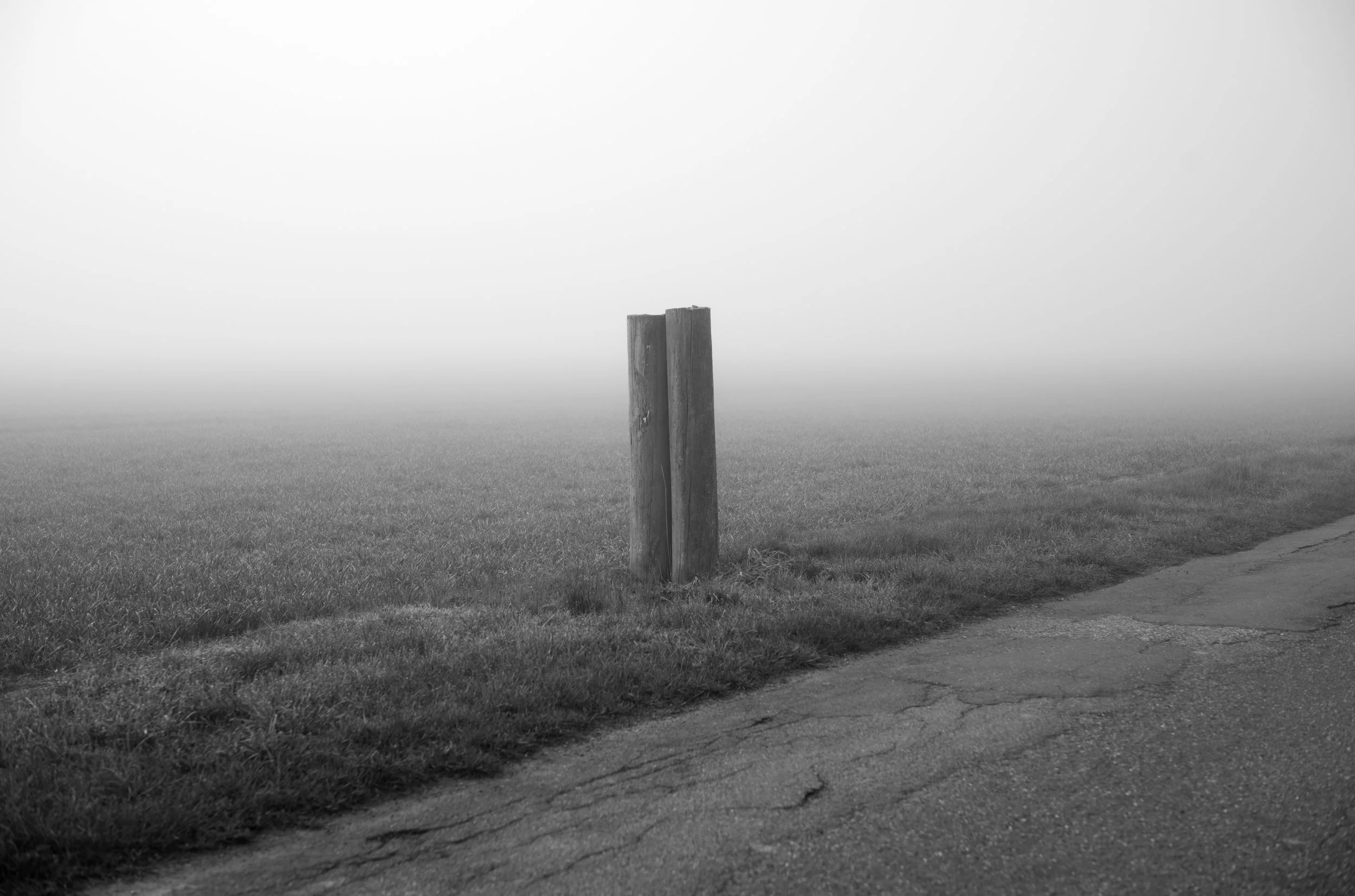 2L1005524_cp_l.jpg