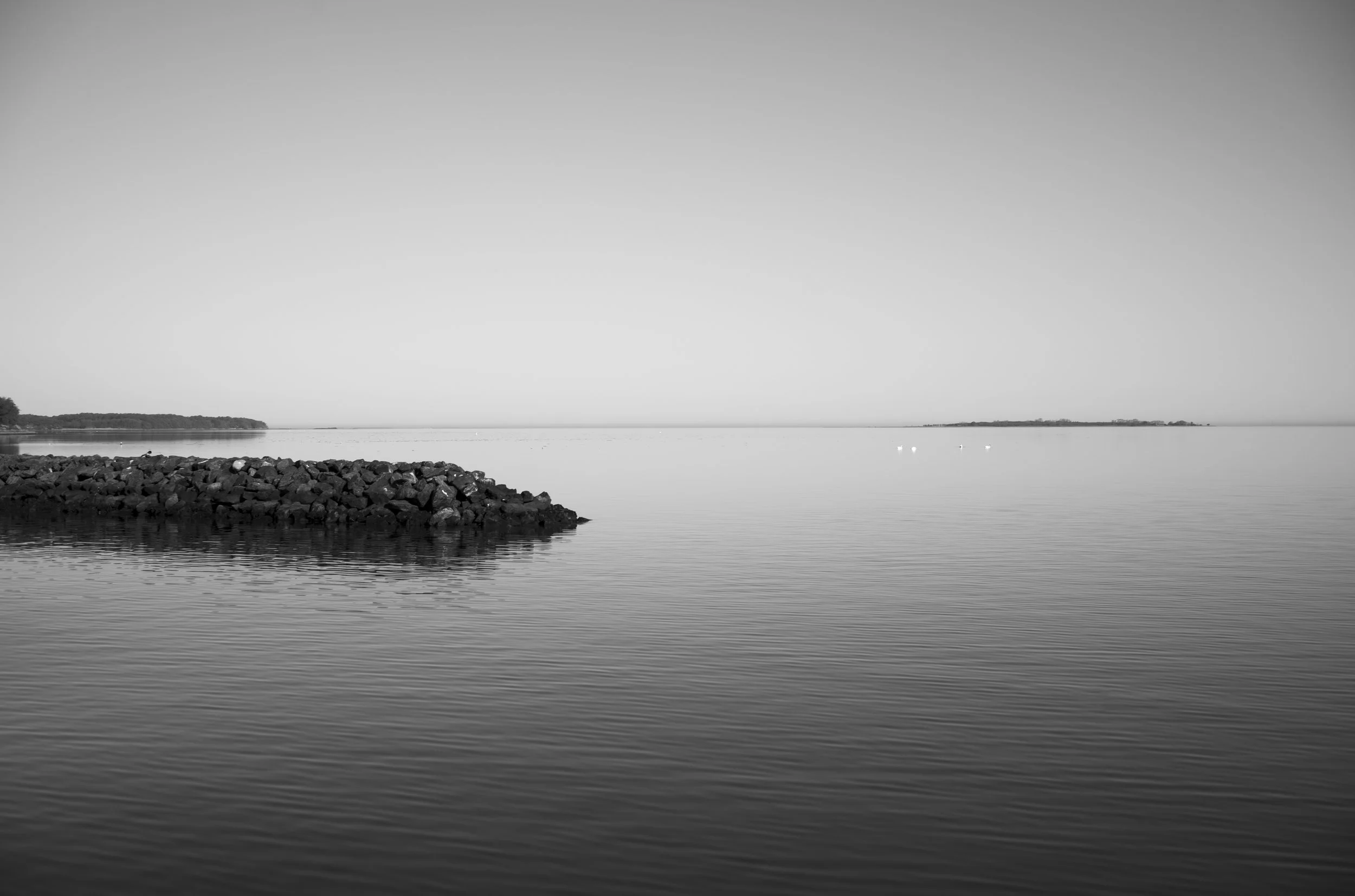 2L1005633_cp_l.jpg