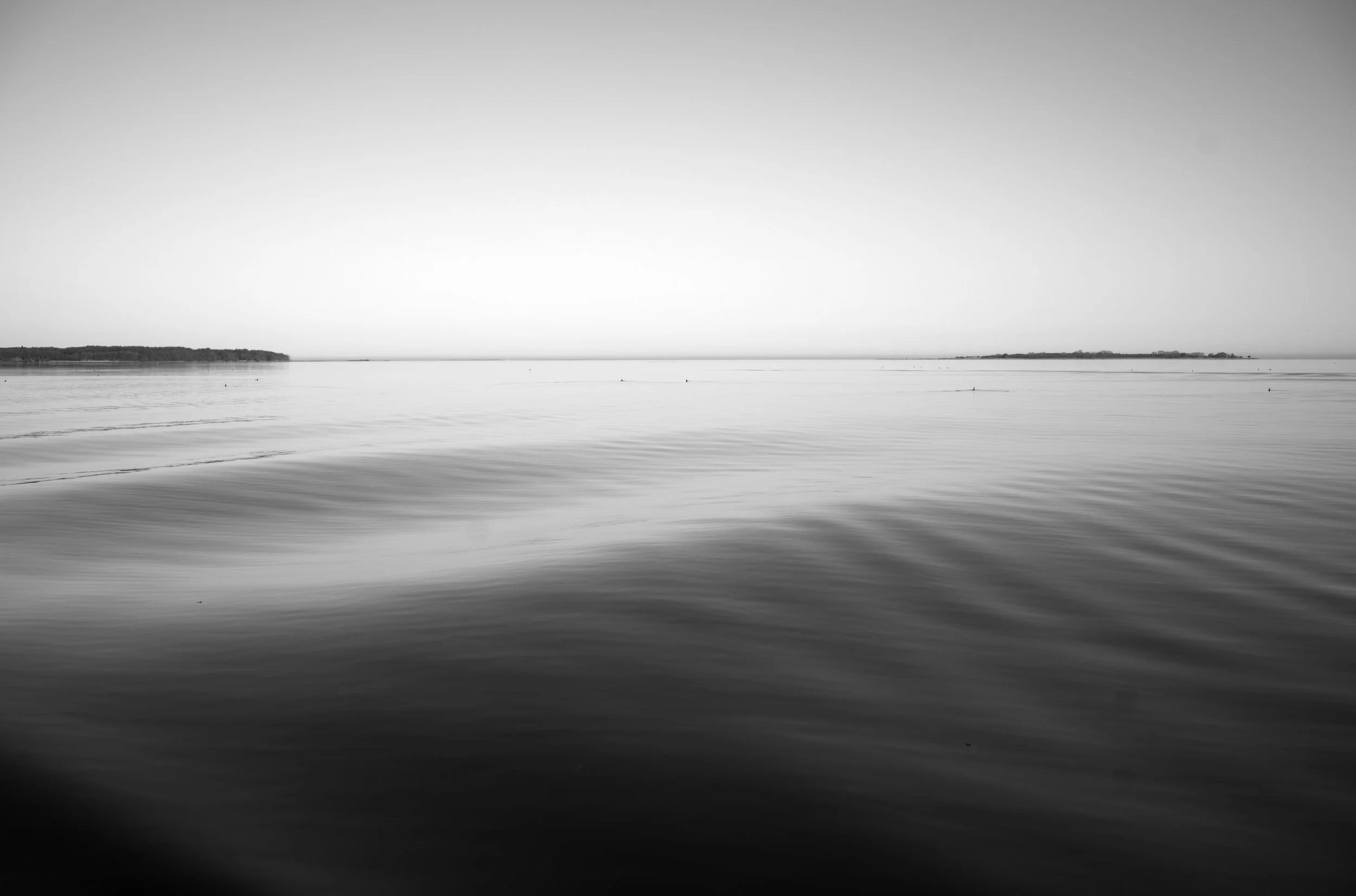 2L1005637_cp_l.jpg