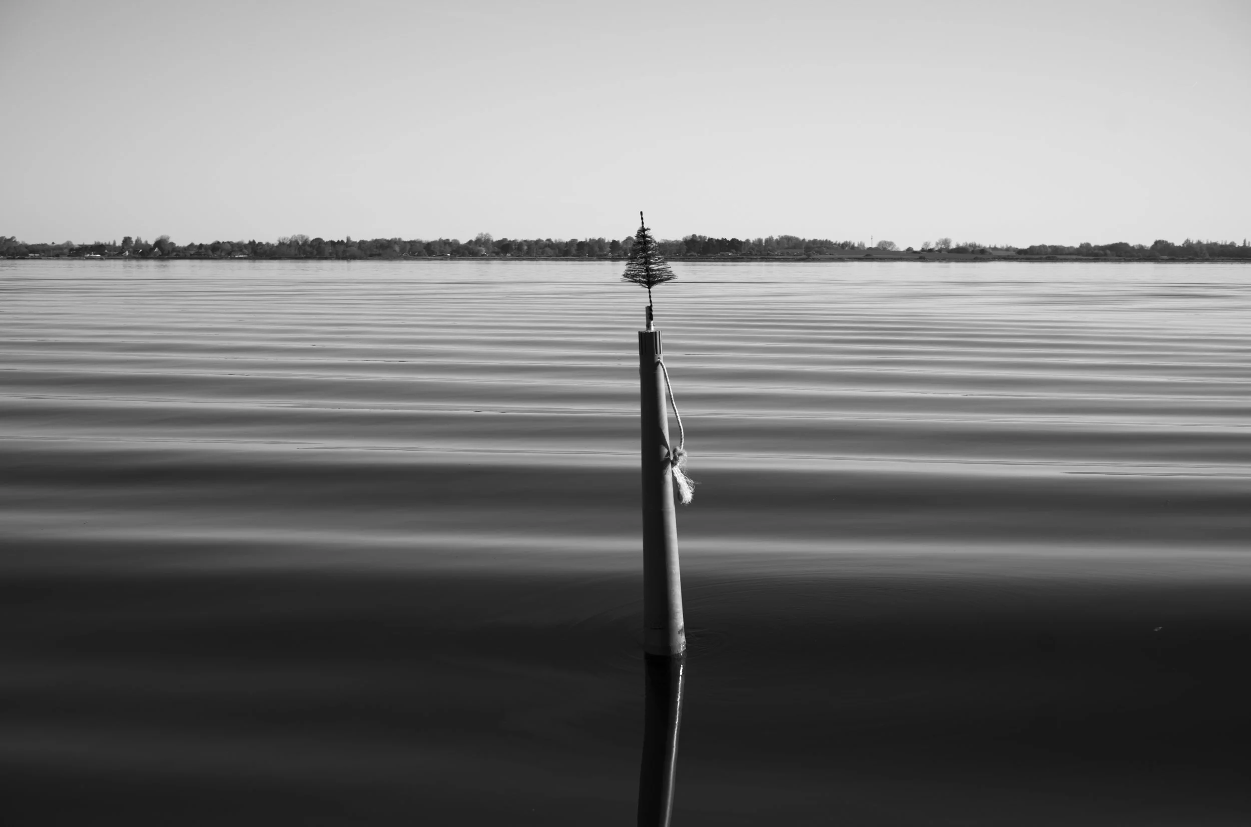 2L1005640_cp_l.jpg