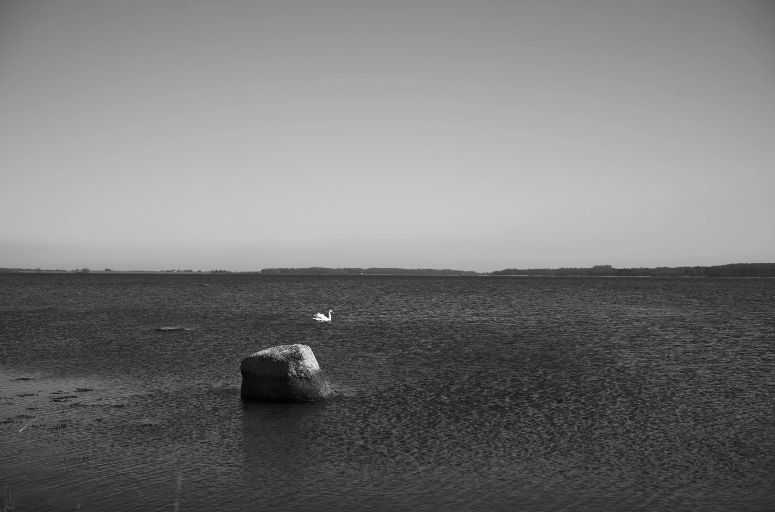 2L1005531_cp_l.jpg