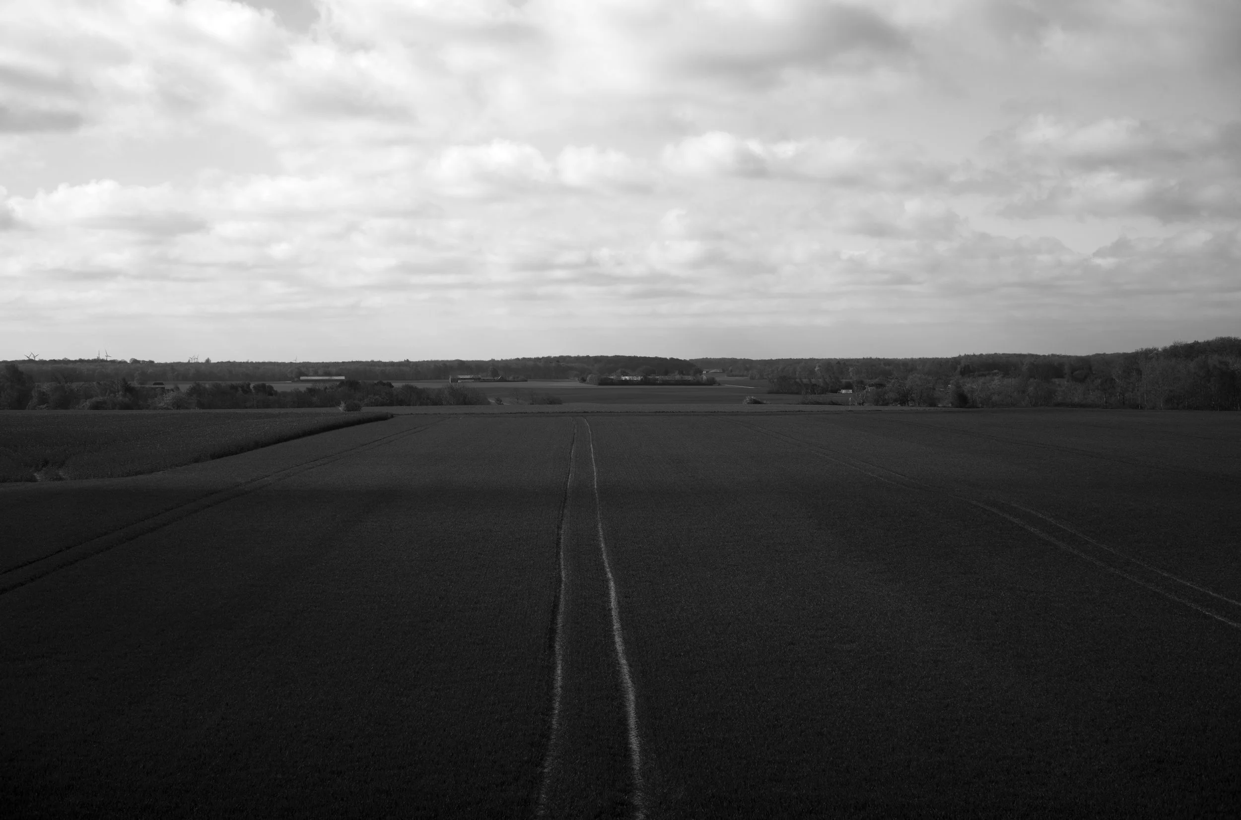 2L1005537_cp_l.jpg