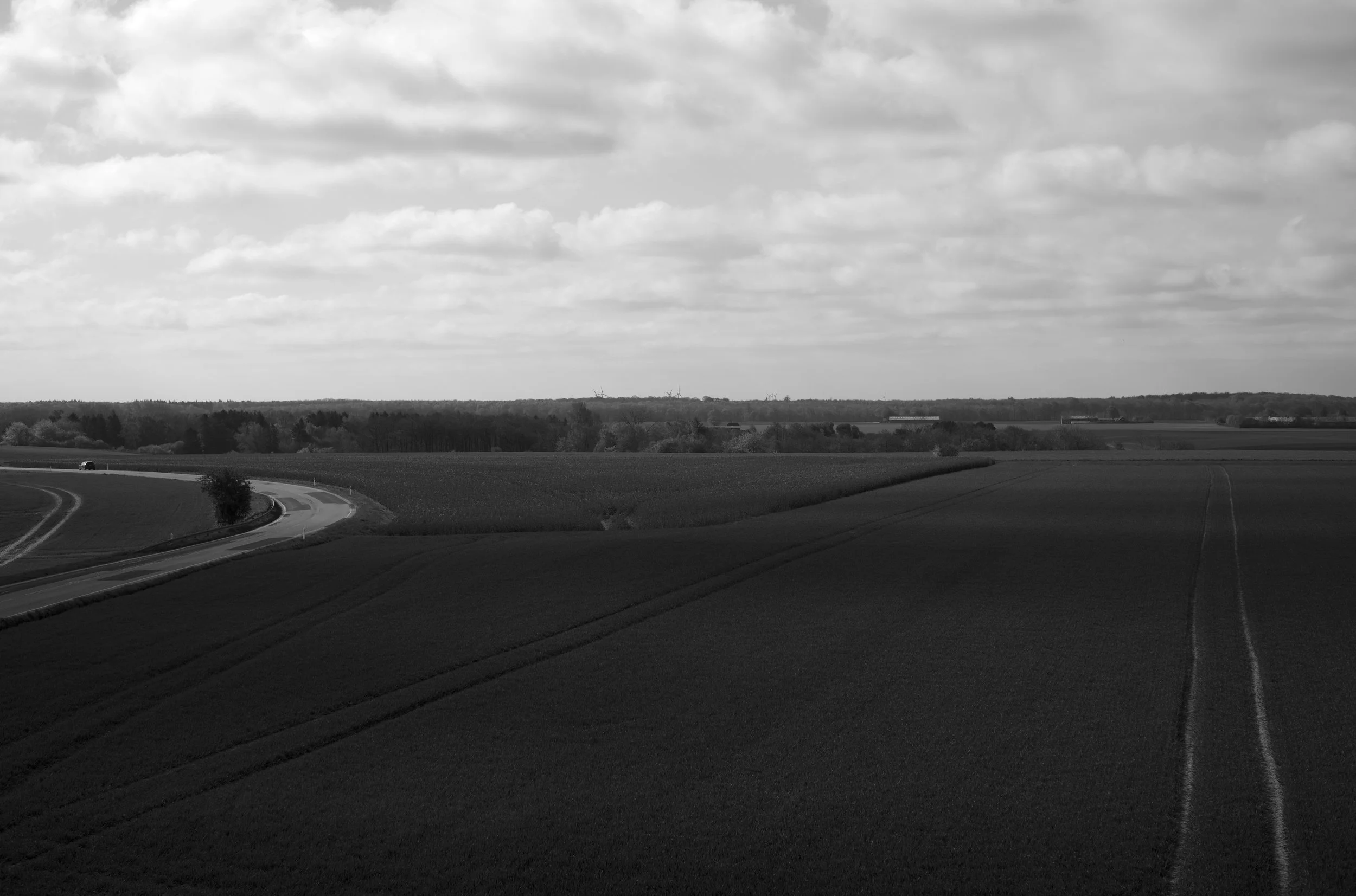 2L1005539_cp_l.jpg