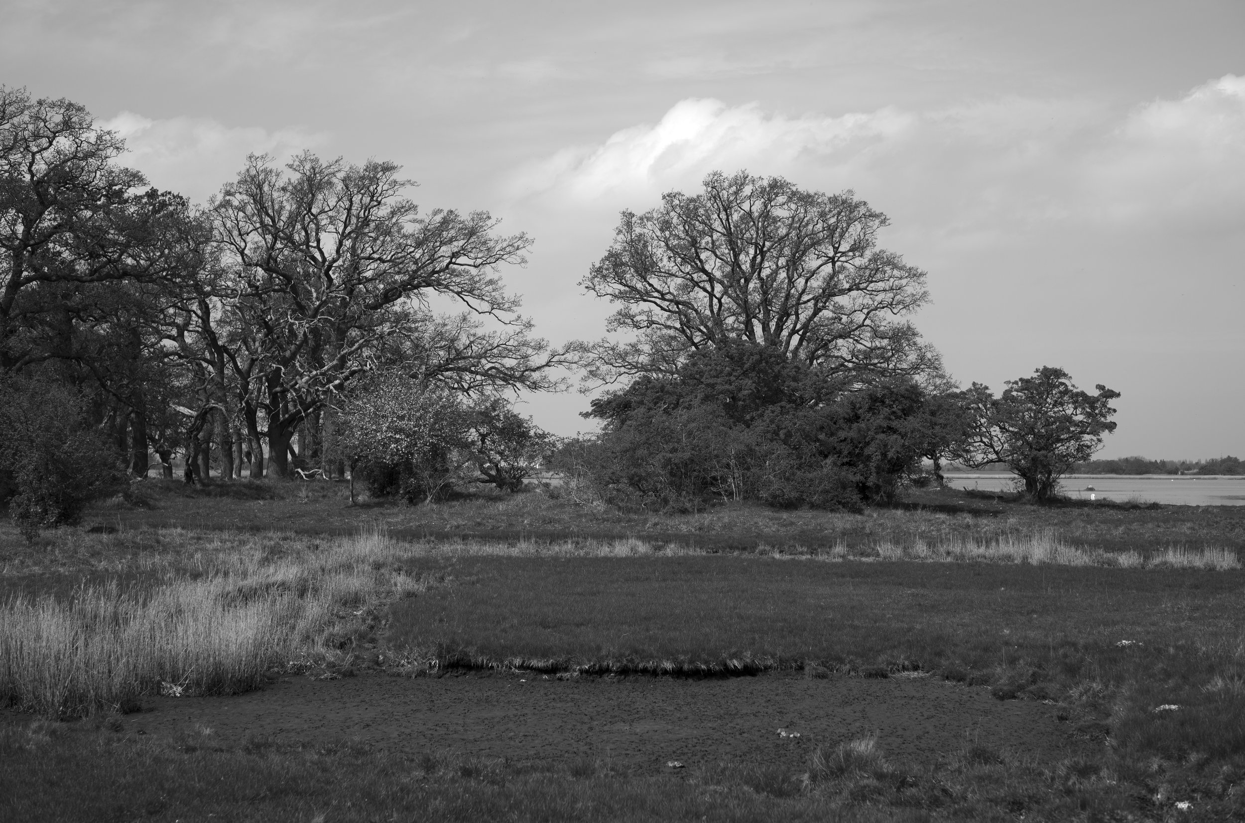 2L1005673_cp_l.jpg
