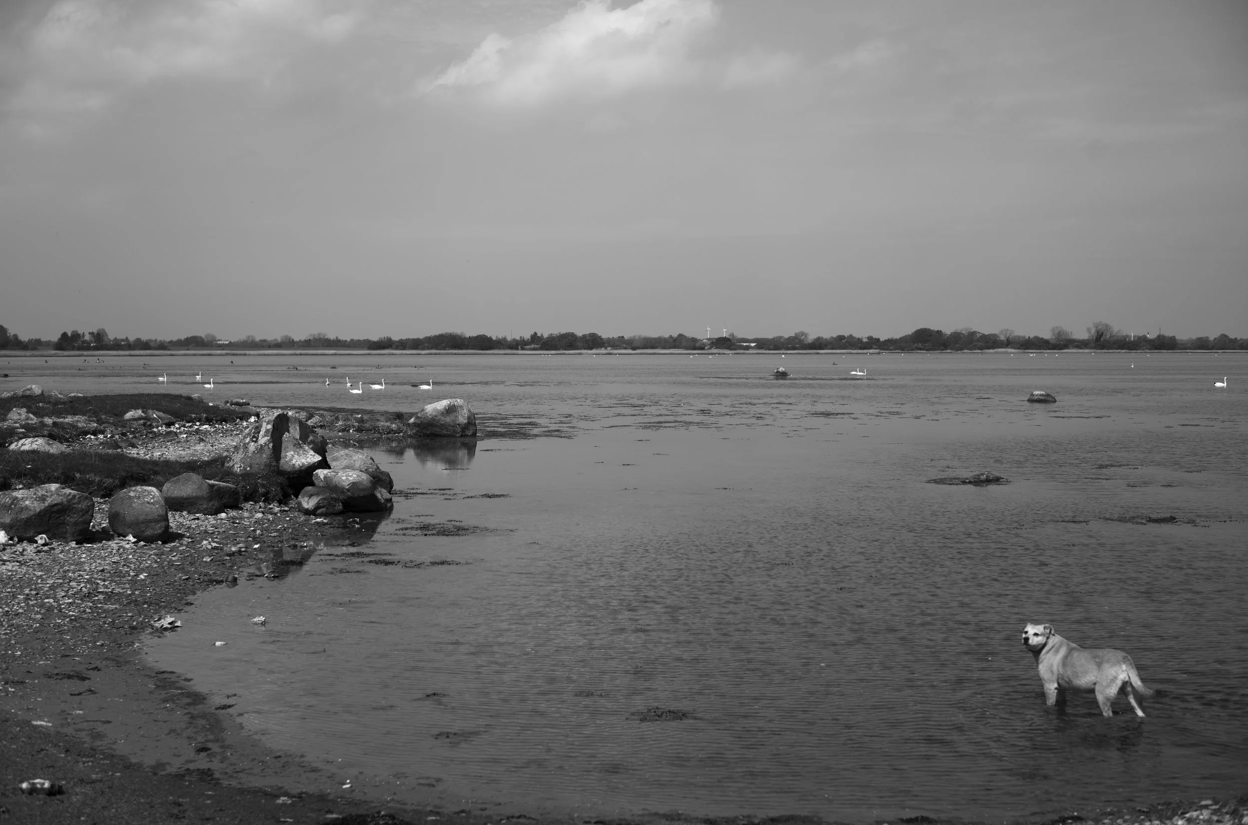 2L1005674_cp_l.jpg