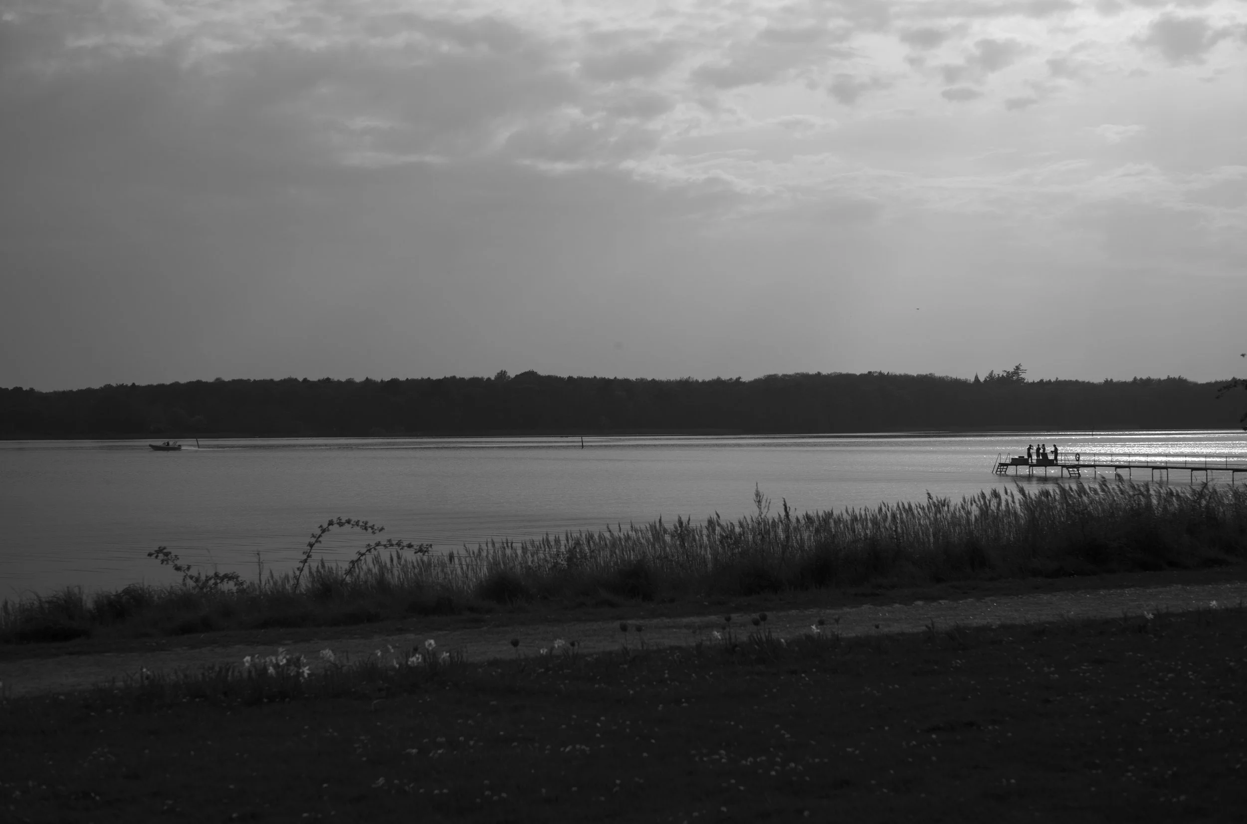 2L1005682_cp_l.jpg