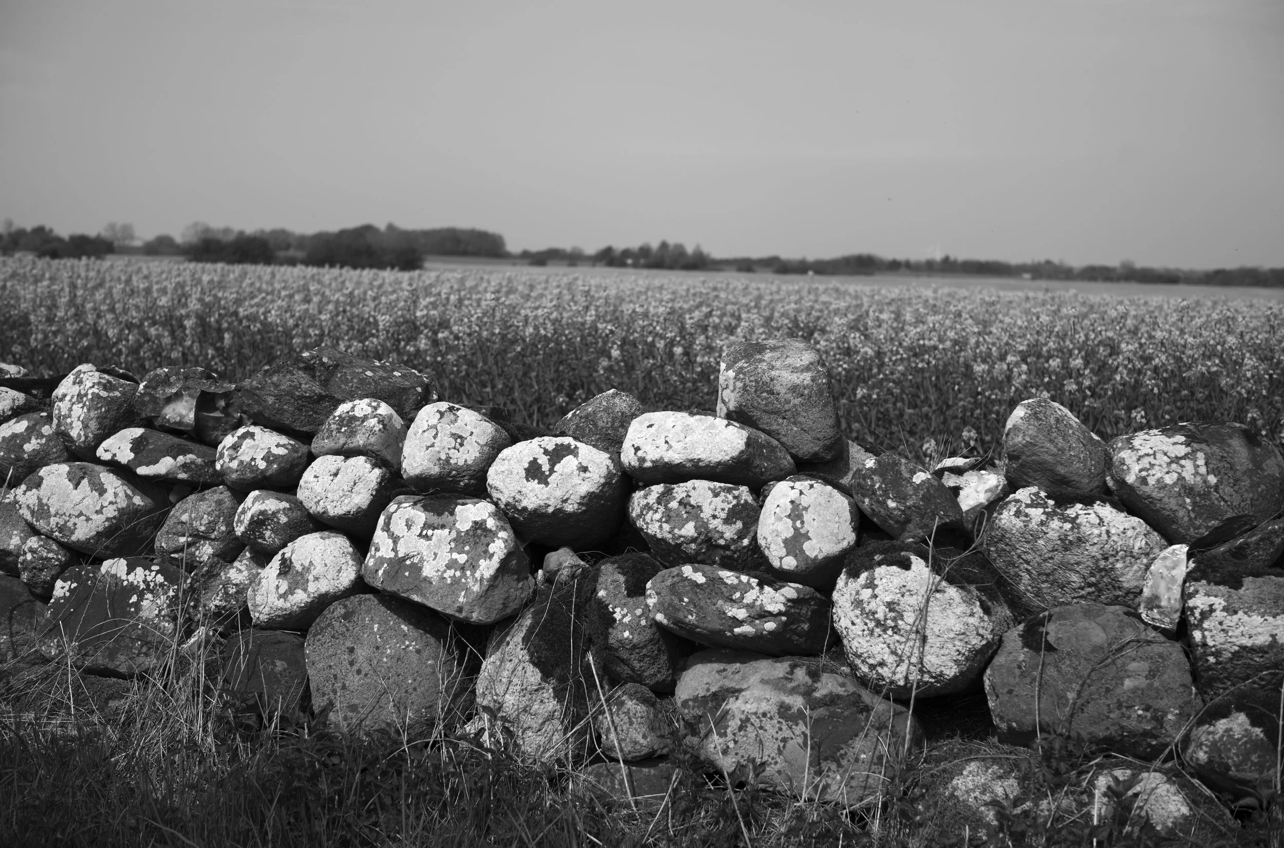 2L1005680_cp_l.jpg