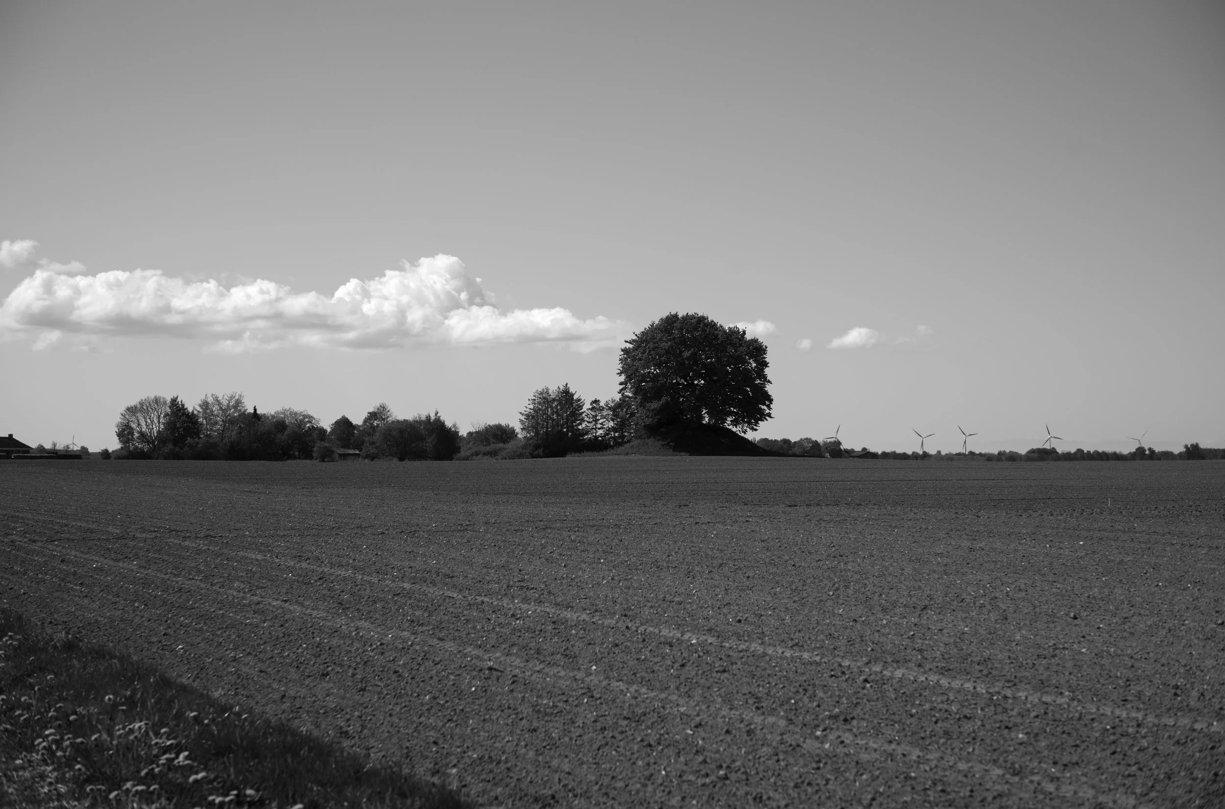 2L1005687_cp_l.jpg