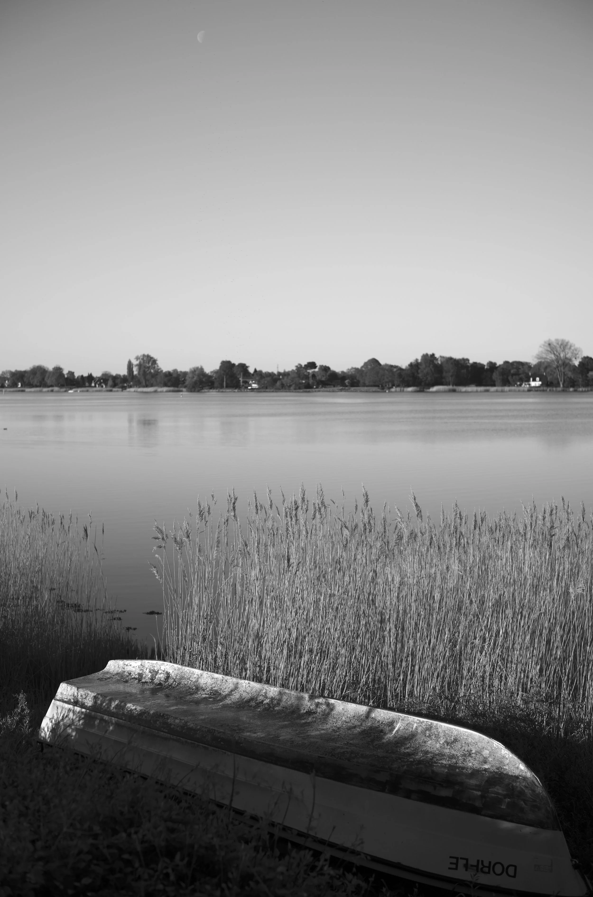2L1005711_cp_l.jpg