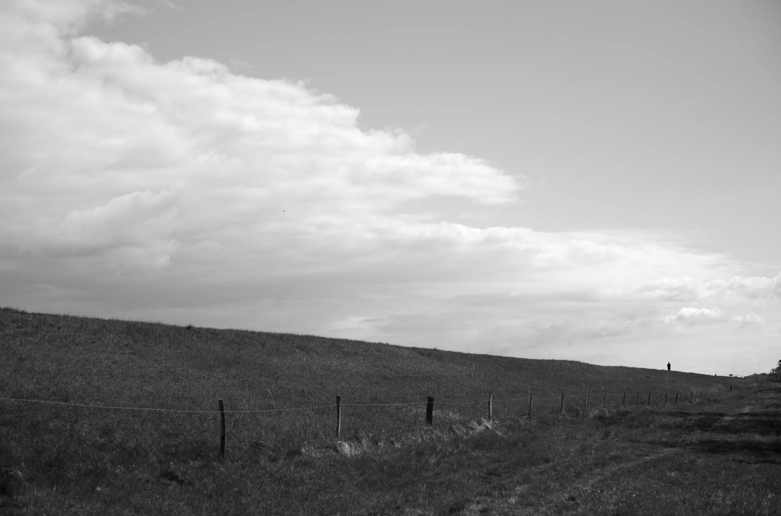 2L1005730_cp_l.jpg