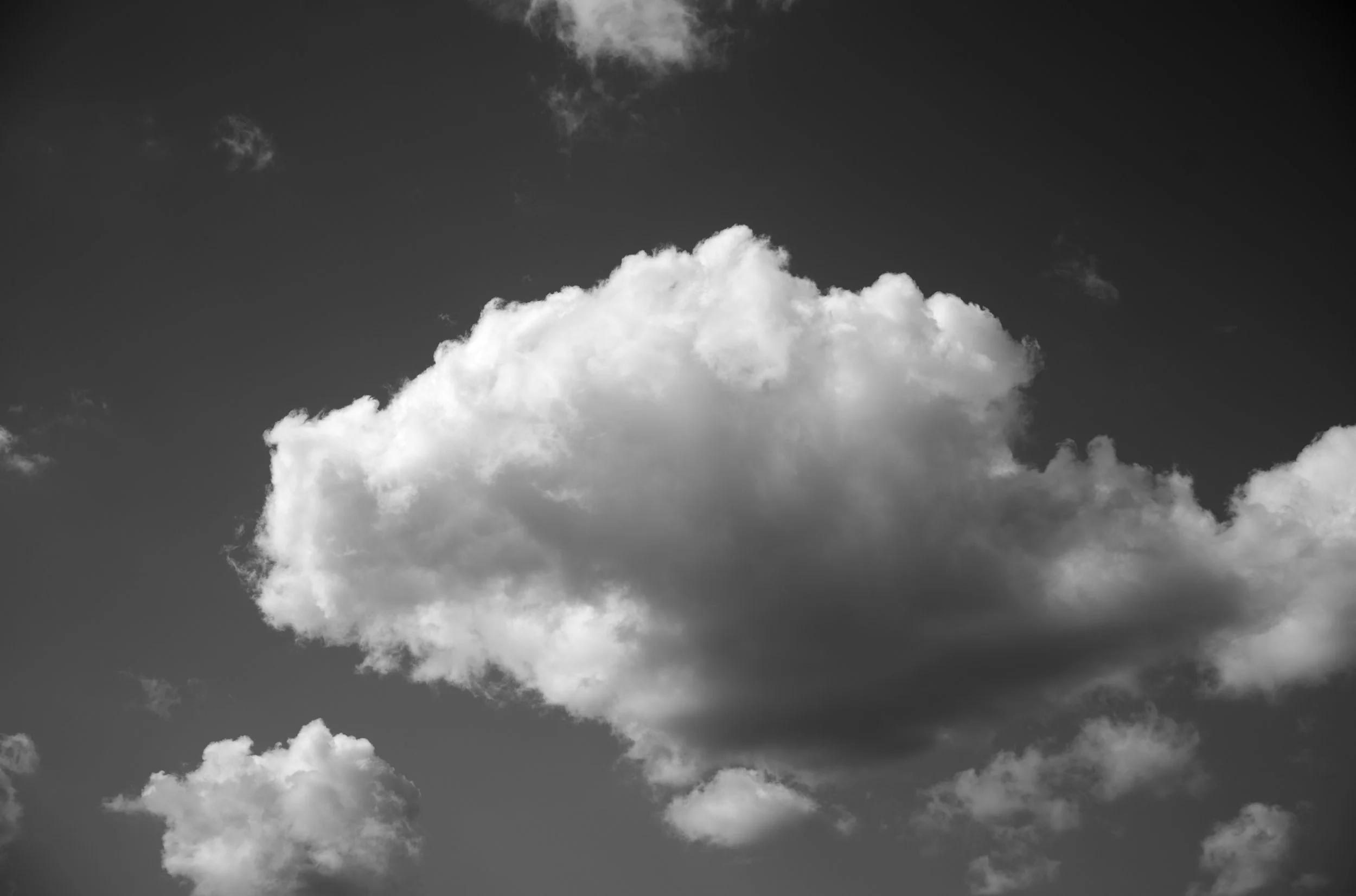 2L1005741_cp_l.jpg
