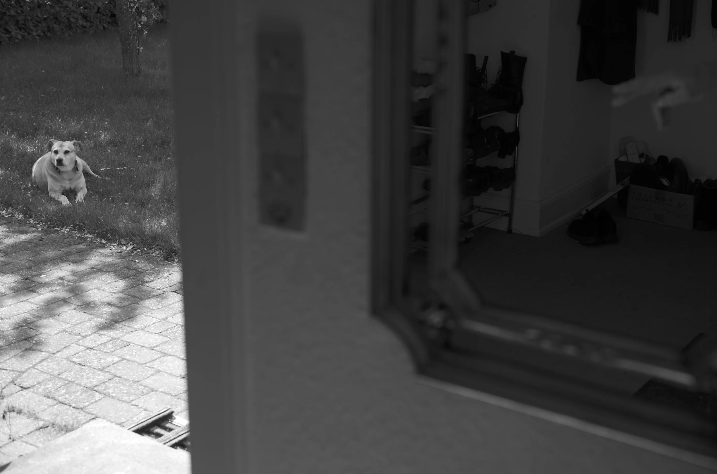 2L1005822_cp_l.jpg