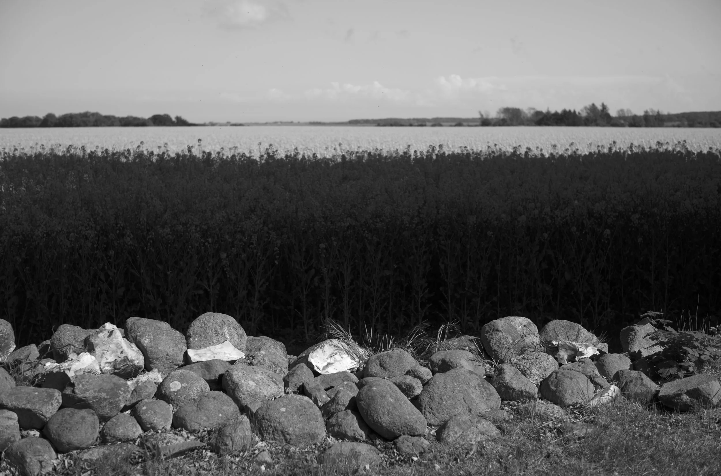 2L1005854_cp_l.jpg