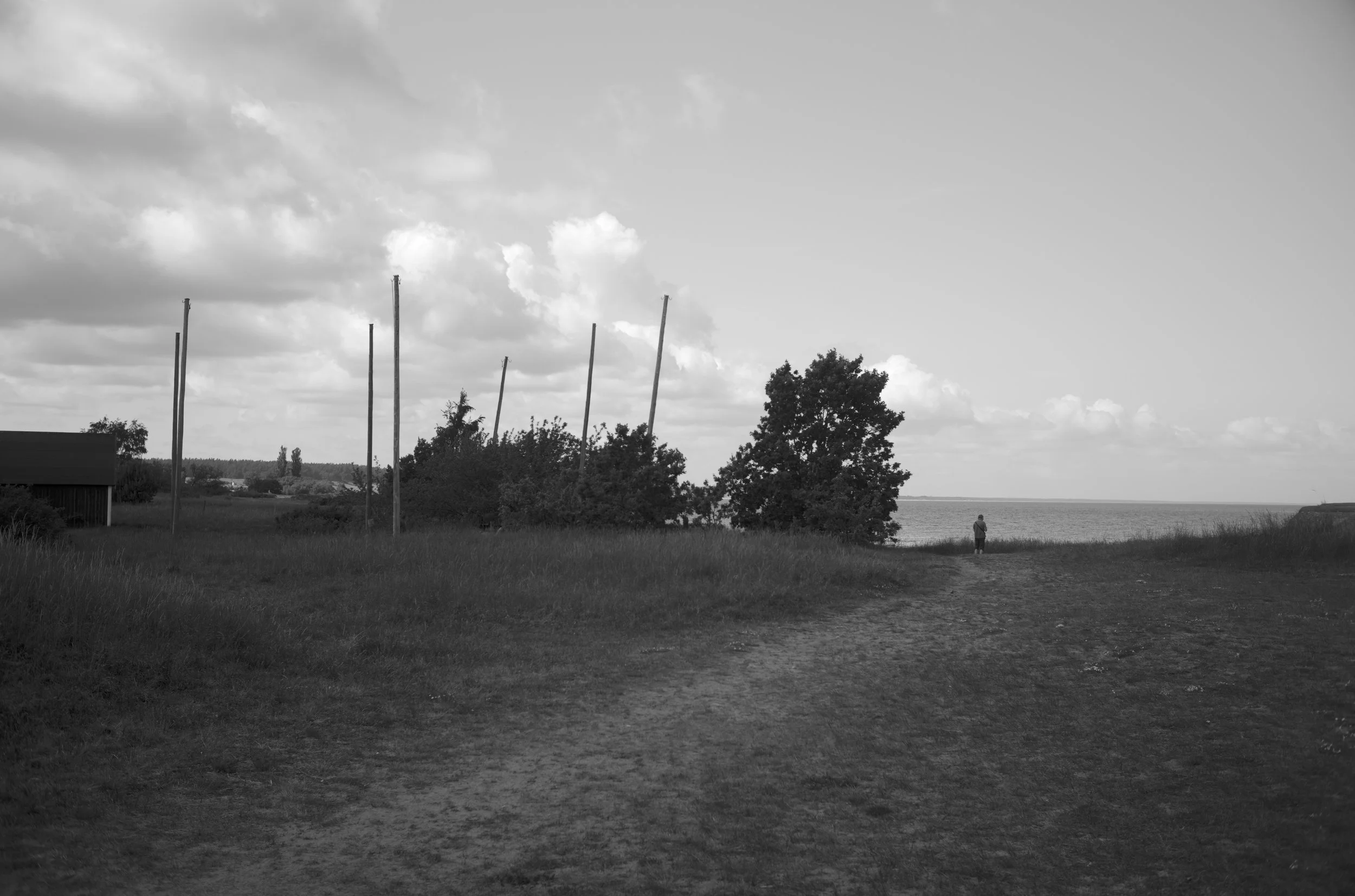 2L1007880_cp_l.jpg