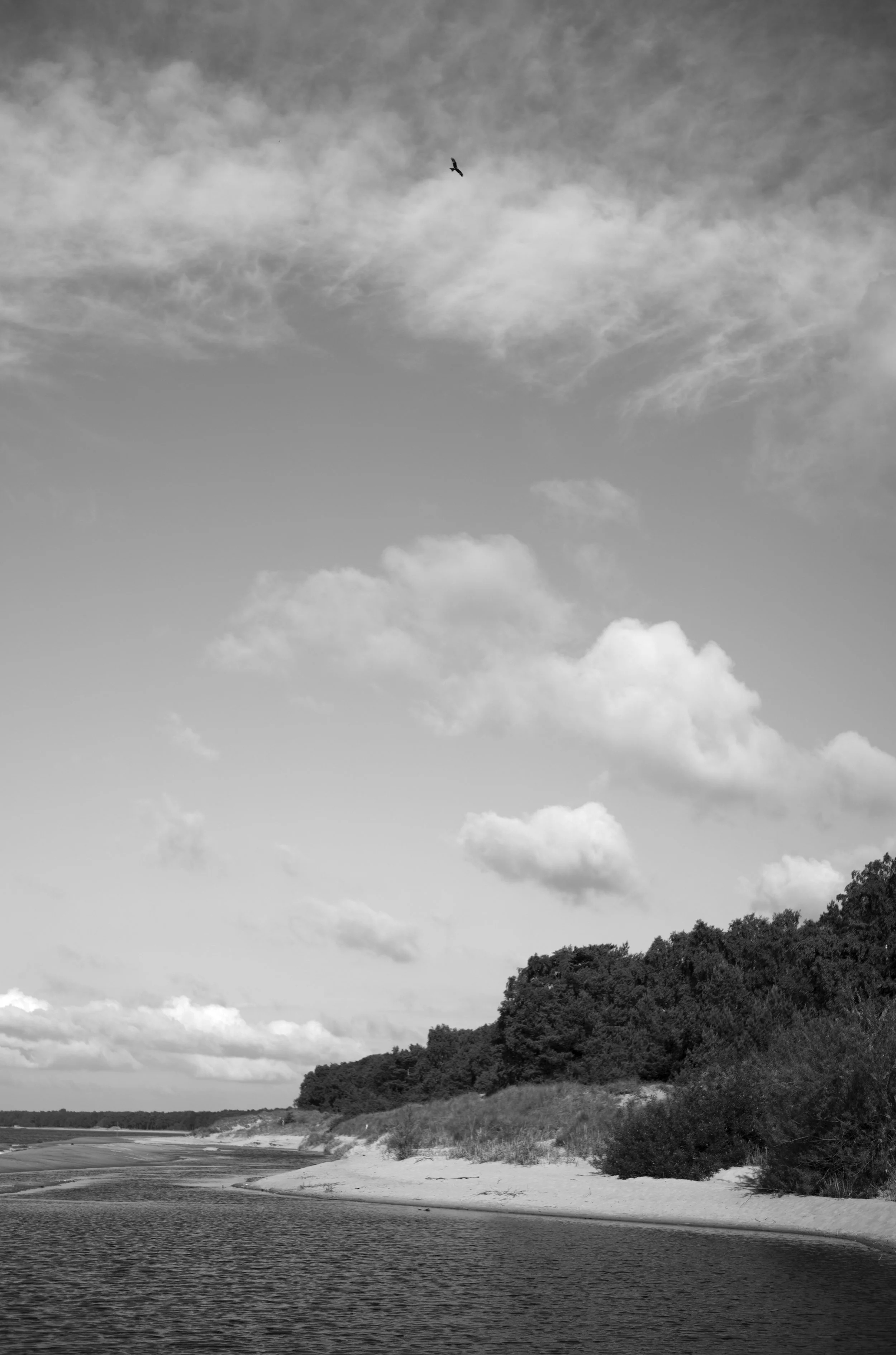 2L1006040_cp_l.jpg