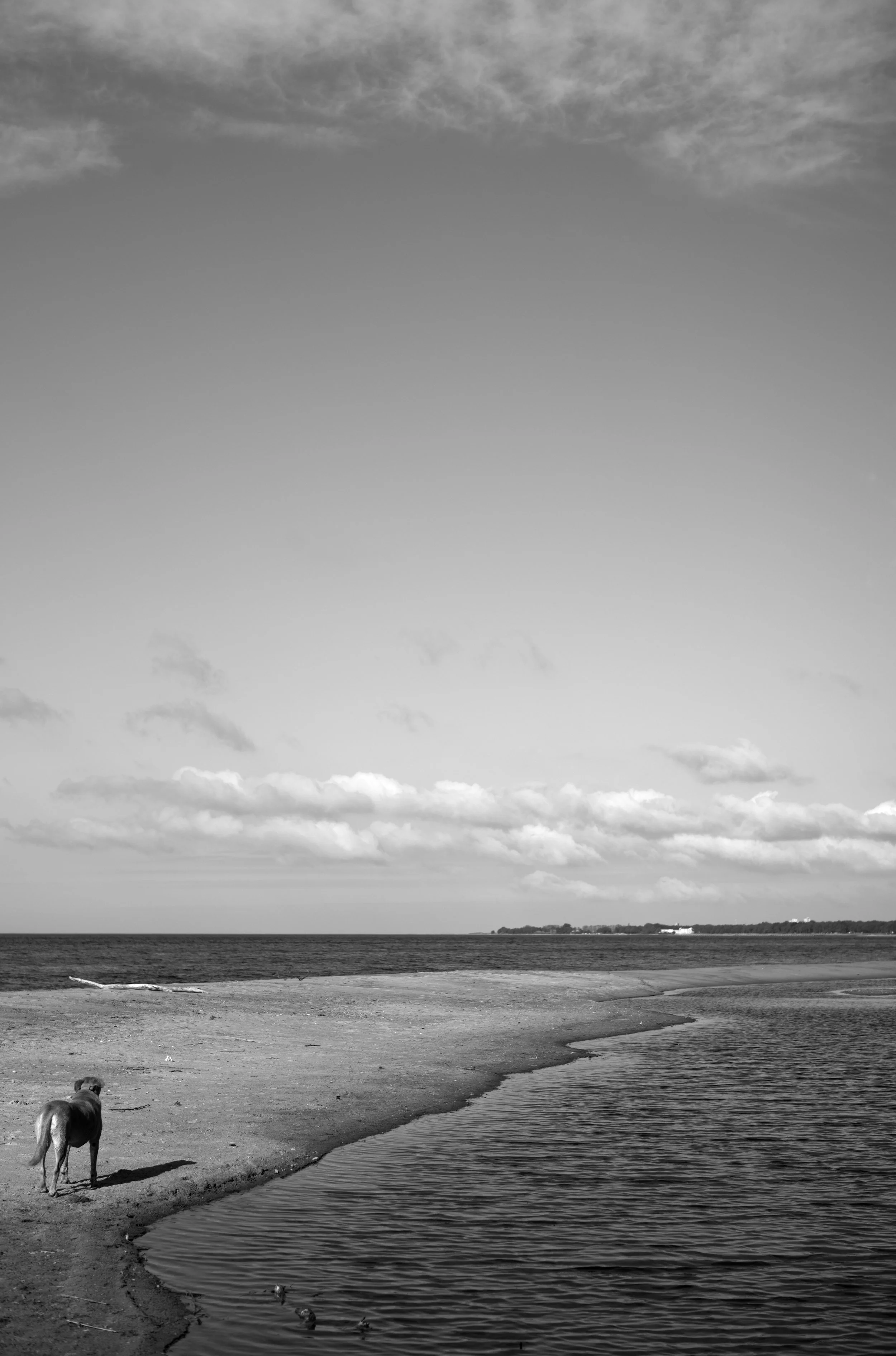 2L1006041_cp_l.jpg